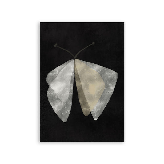 Lamina Abstracta de Mariposa Nacnic