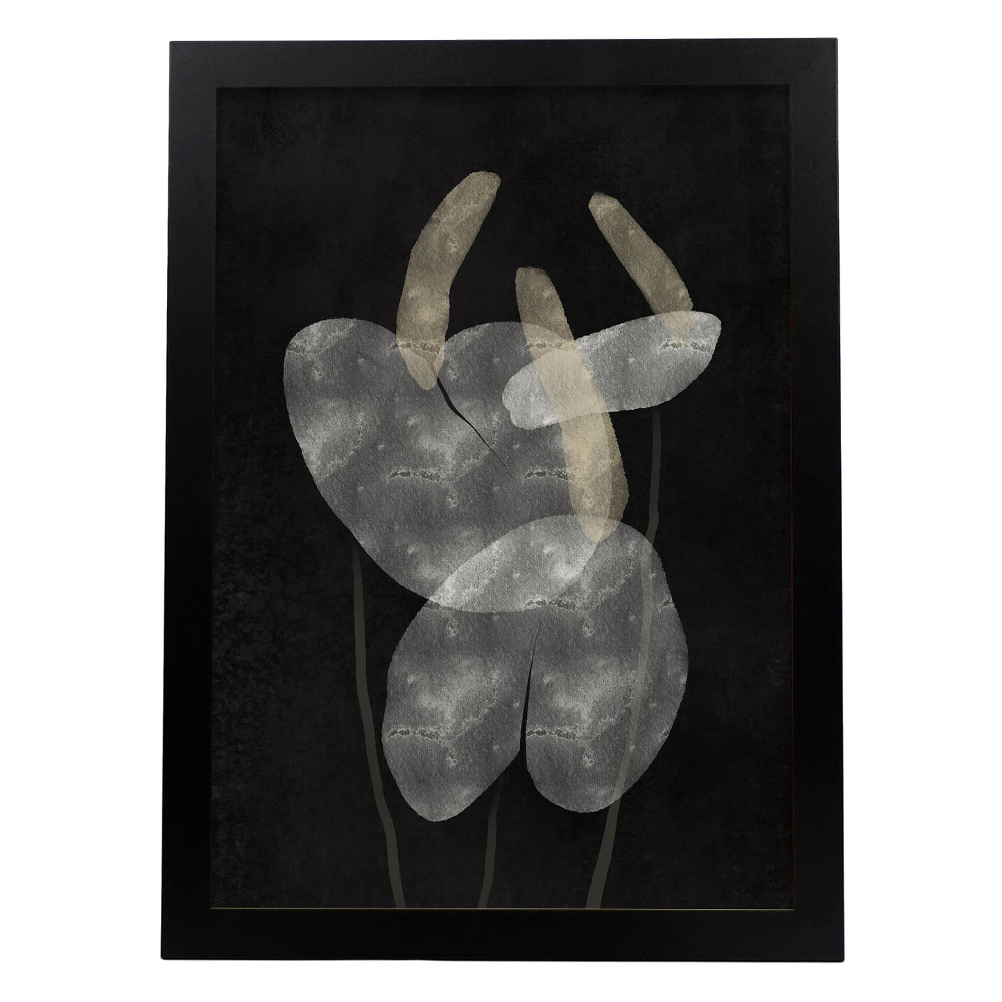 Lamina Abstracta de Anthurium Nacnic
