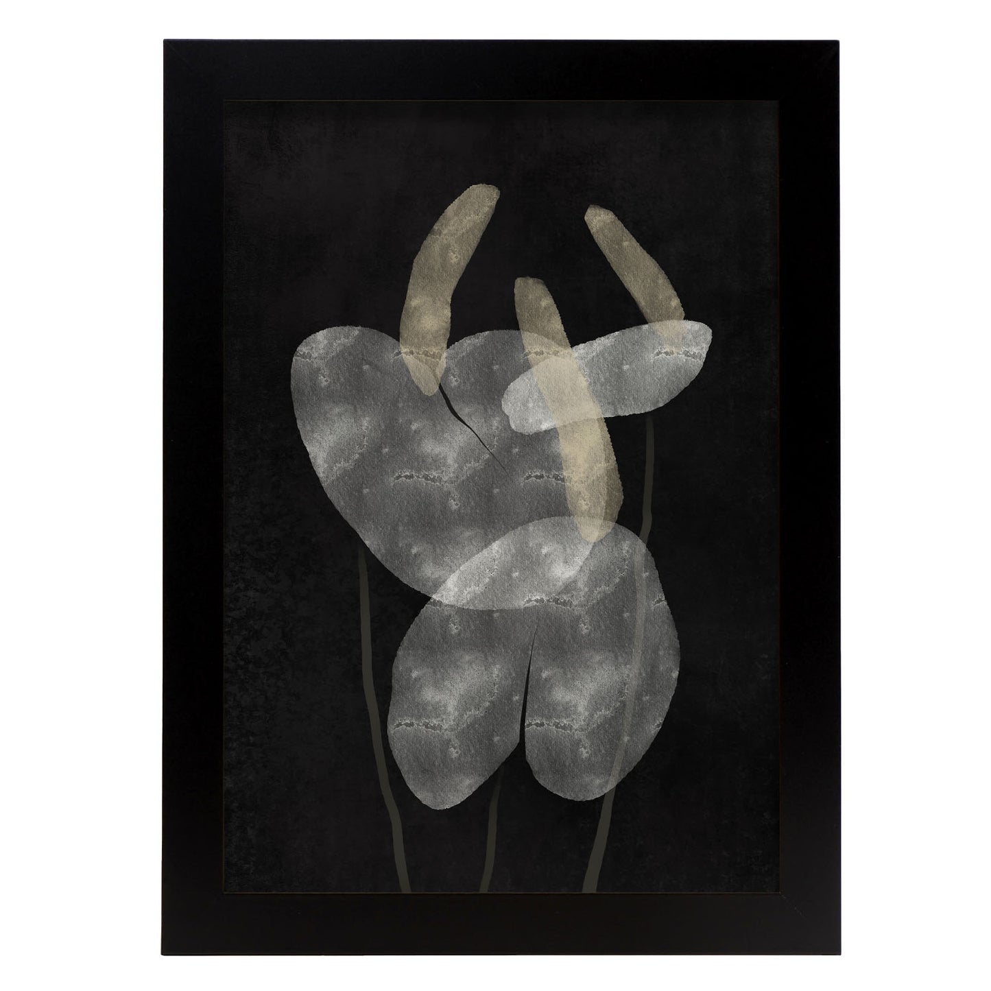 Lamina Abstracta de Anthurium Nacnic