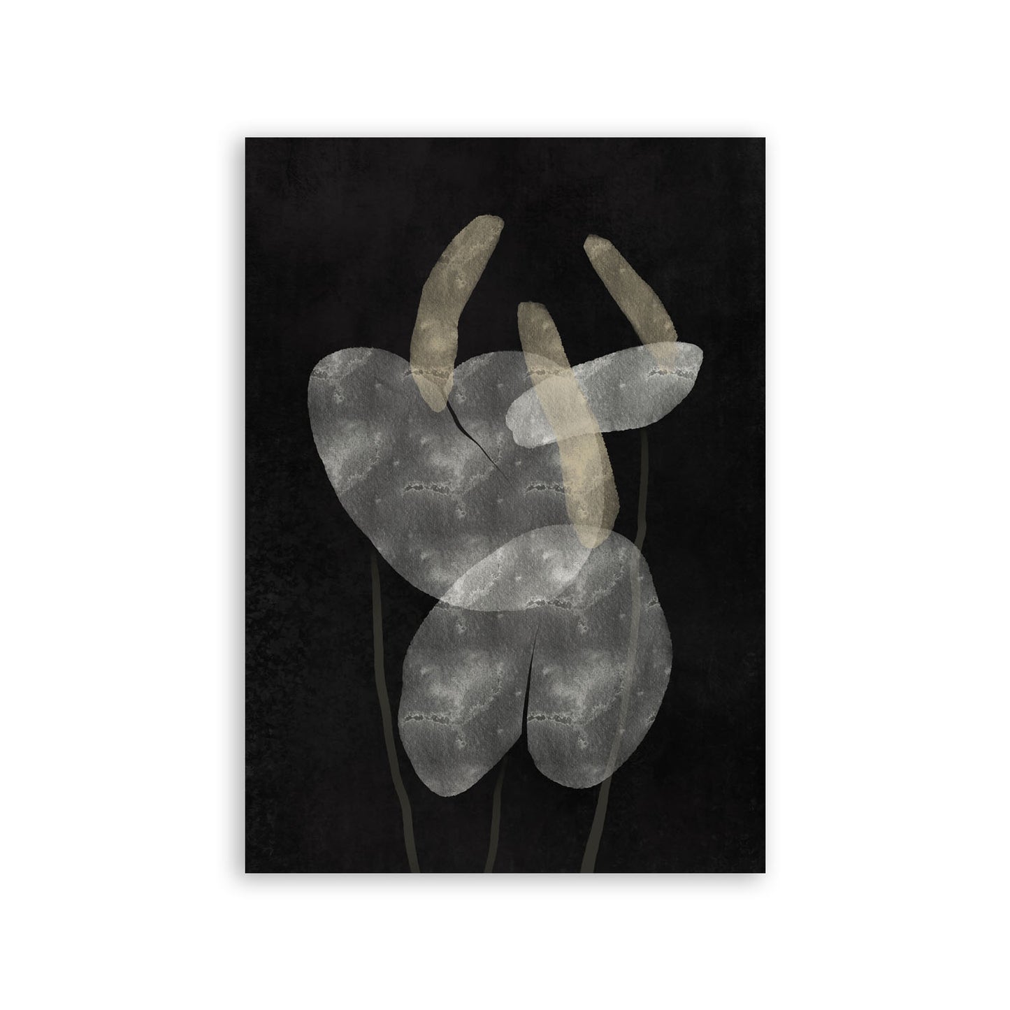 Lamina Abstracta de Anthurium Nacnic