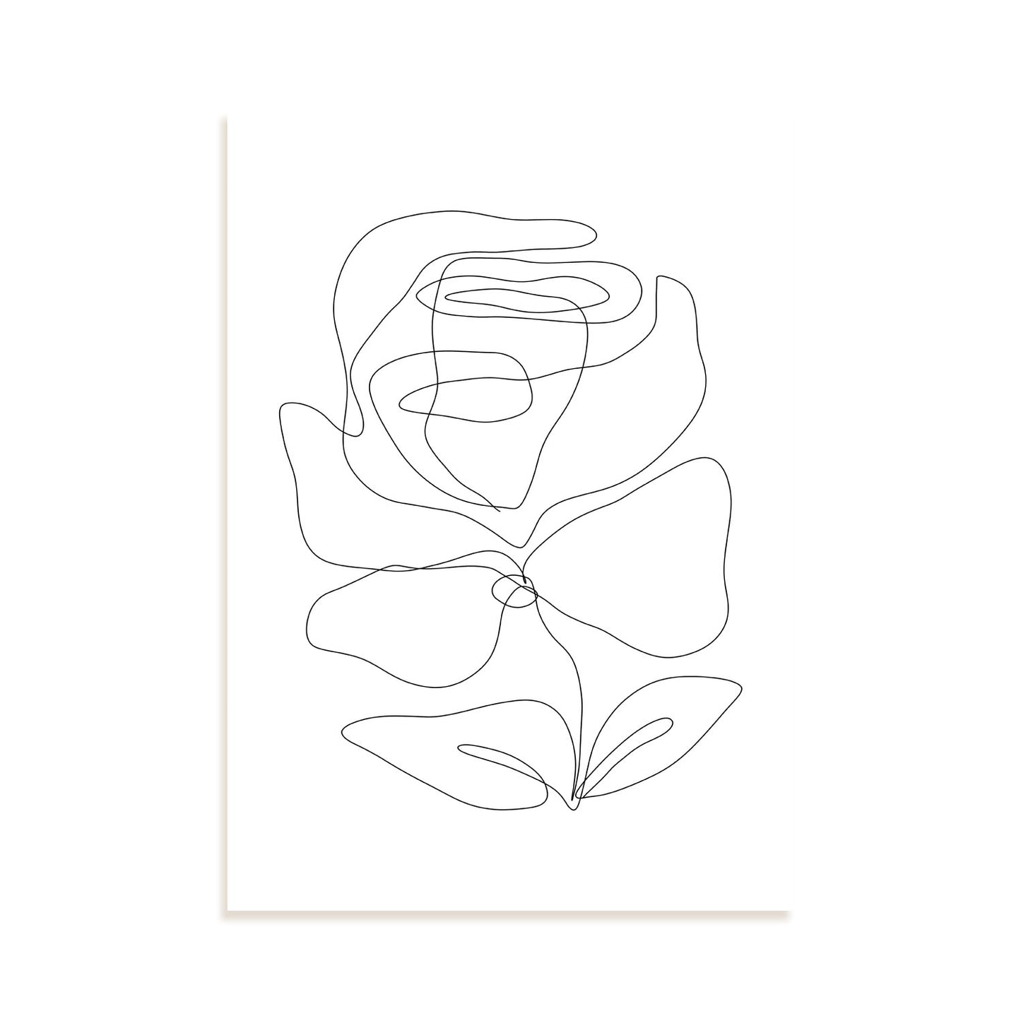 Nacnic Lámina de Rosas Radiantes en Flores Surtidas
