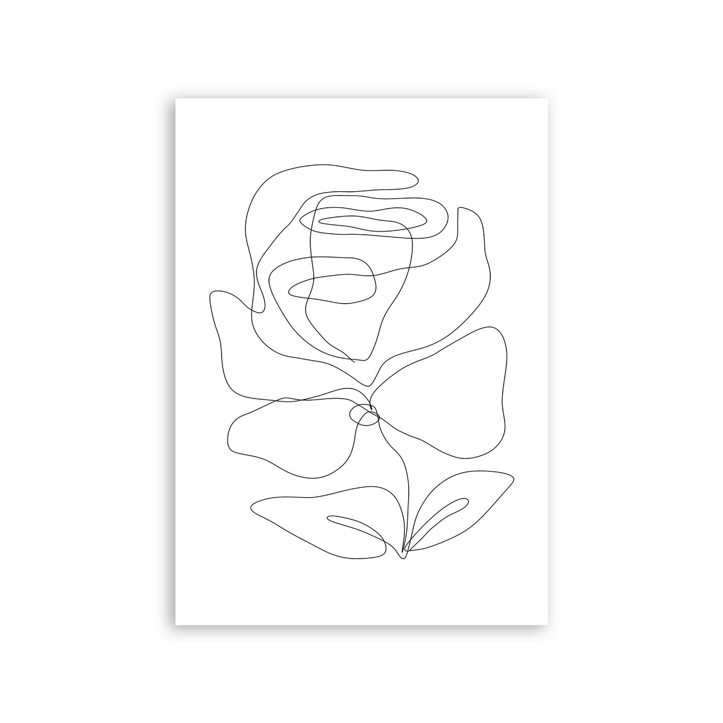 Nacnic Lámina de Rosas Radiantes en Flores Surtidas
