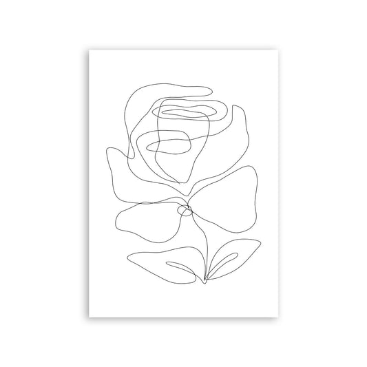 Nacnic Lámina de Rosas Radiantes en Flores Surtidas