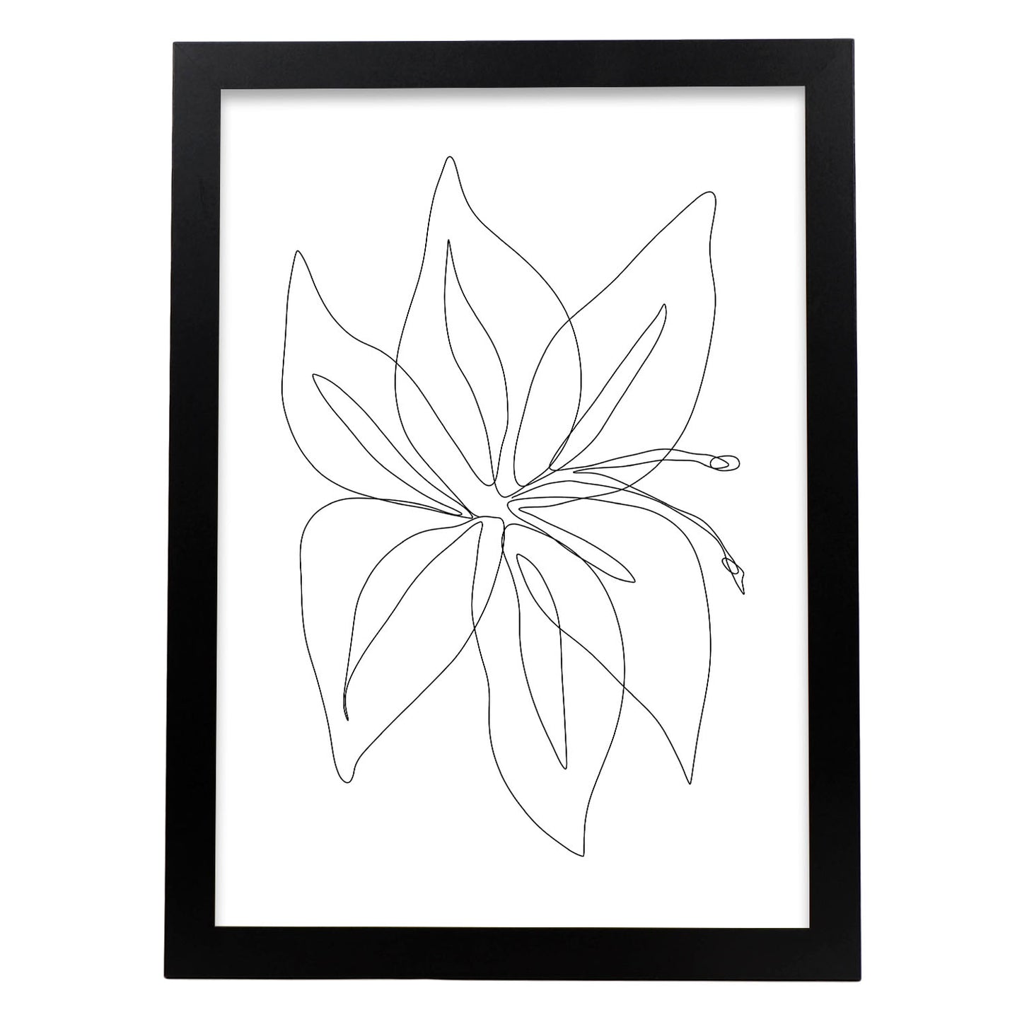 Lámina Nacnic Arte de Flores Surtidas