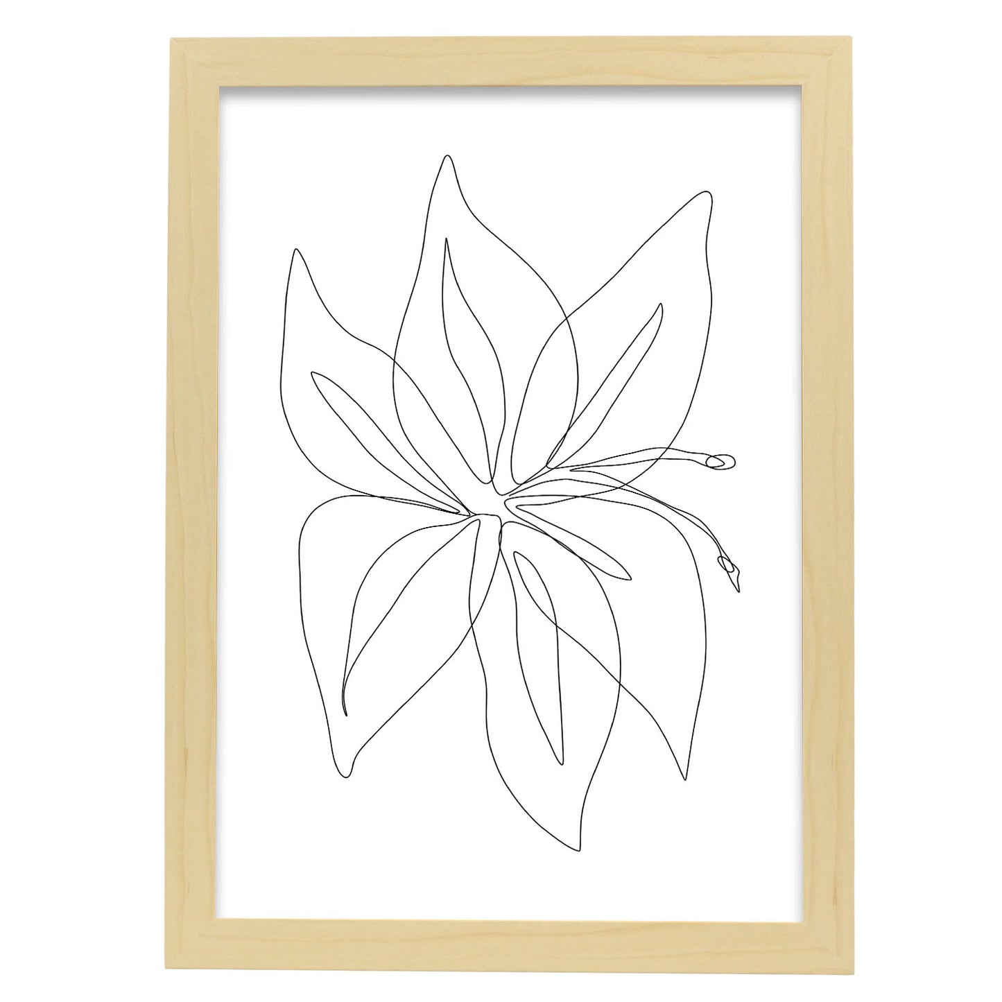Lámina Nacnic Arte de Flores Surtidas