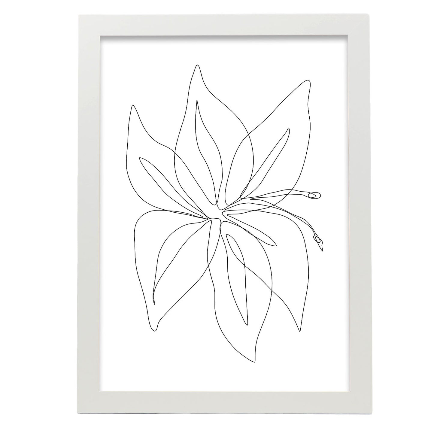 Lámina Nacnic Arte de Flores Surtidas