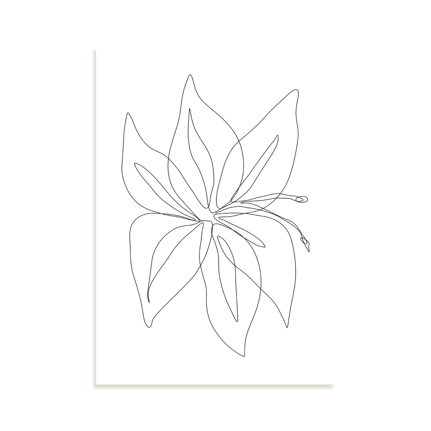 Lámina Nacnic Arte de Flores Surtidas