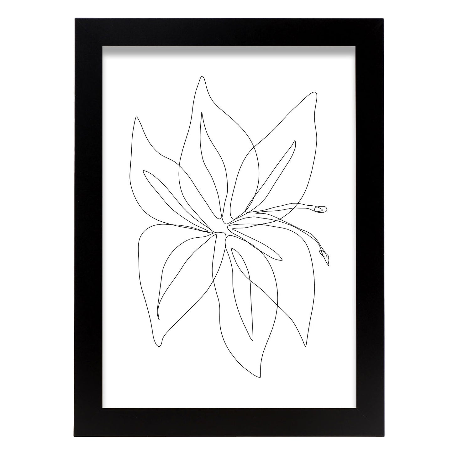 Lámina Nacnic Arte de Flores Surtidas