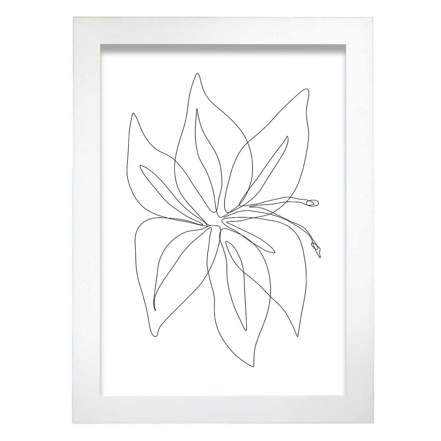 Lámina Nacnic Arte de Flores Surtidas