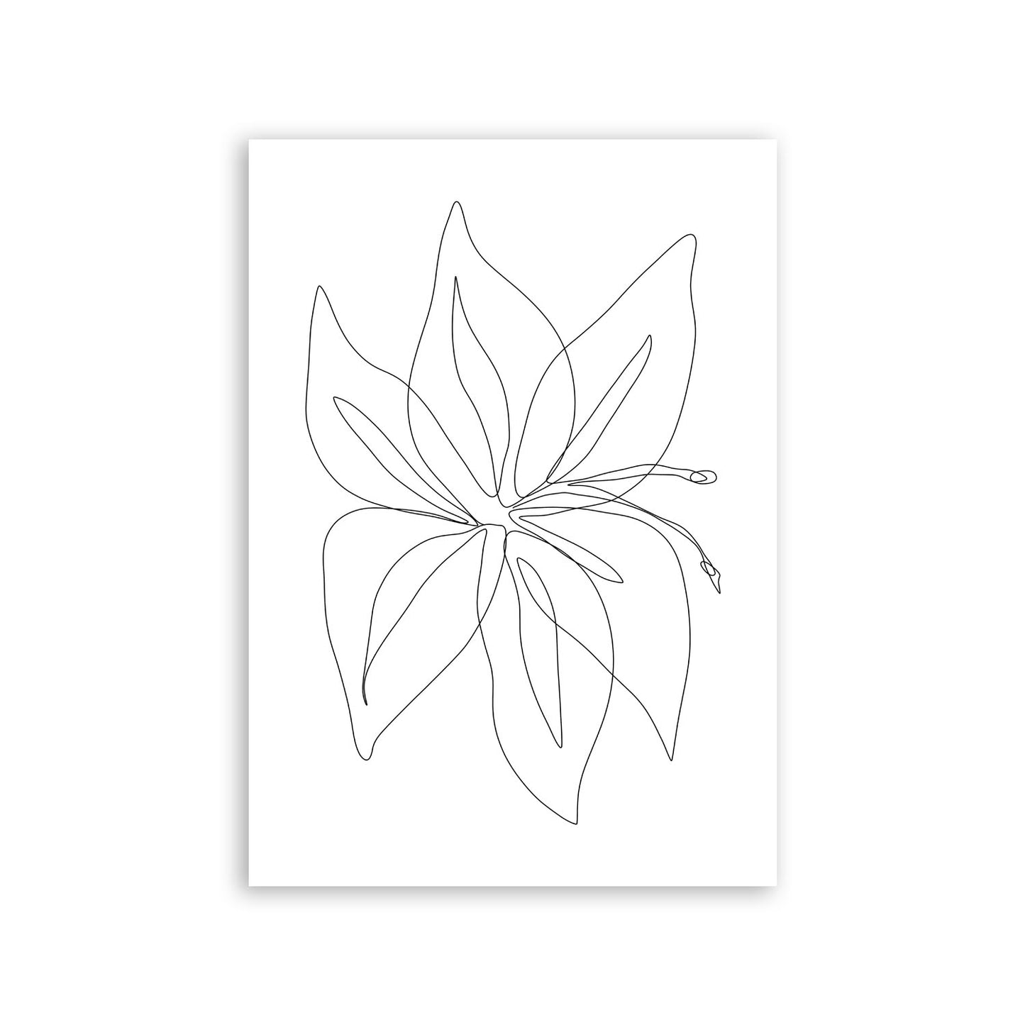 Lámina Nacnic Arte de Flores Surtidas
