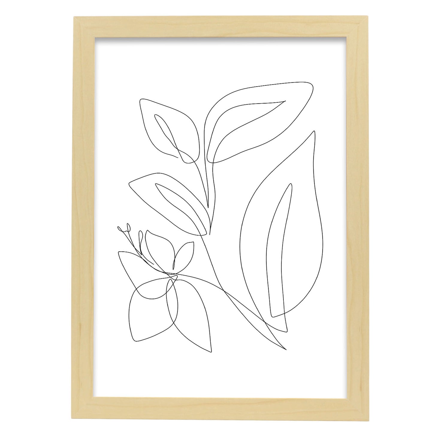 Lámina Nacnic Diseño de Plantas de Espejismo en Flores Surtidas