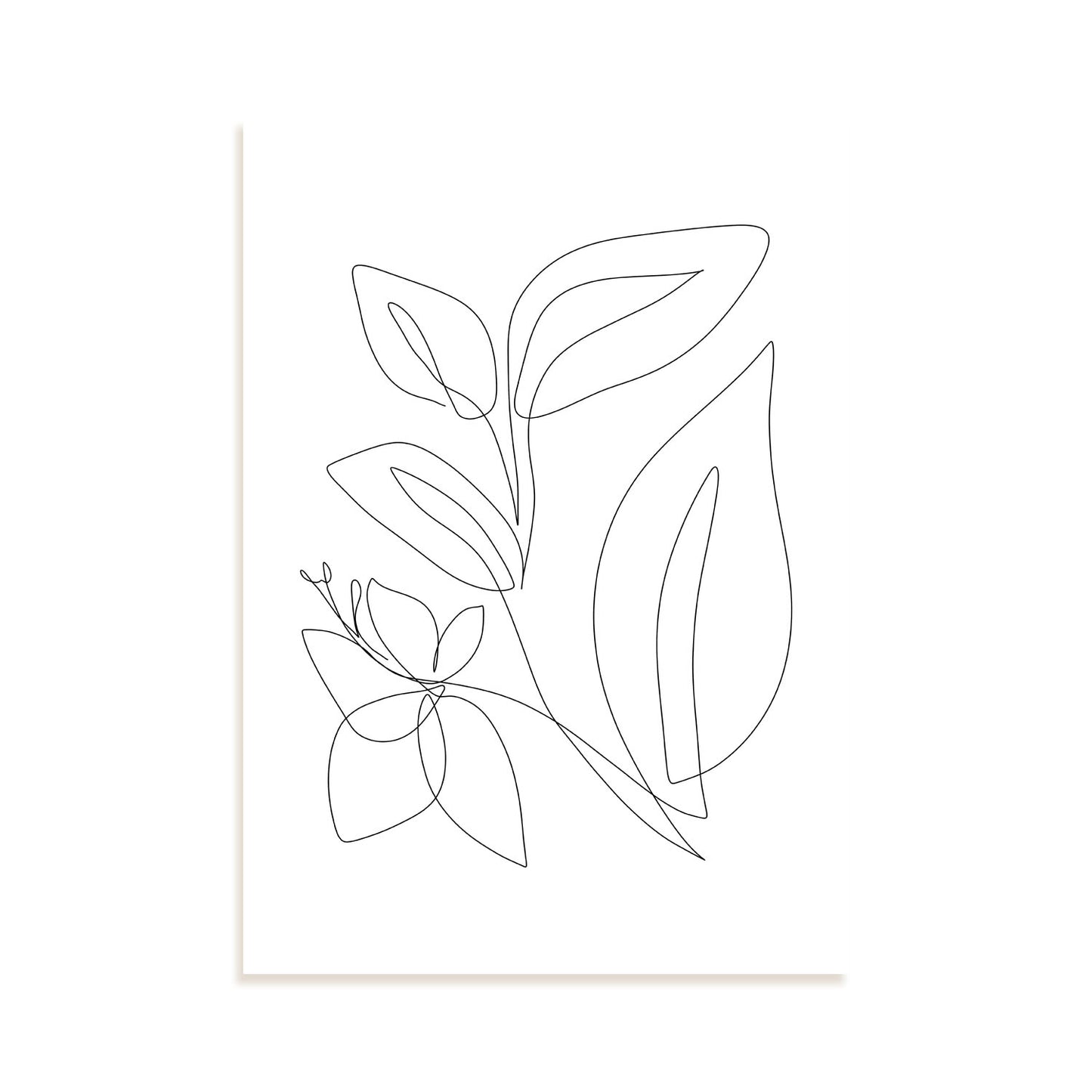 Lámina Nacnic Diseño de Plantas de Espejismo en Flores Surtidas