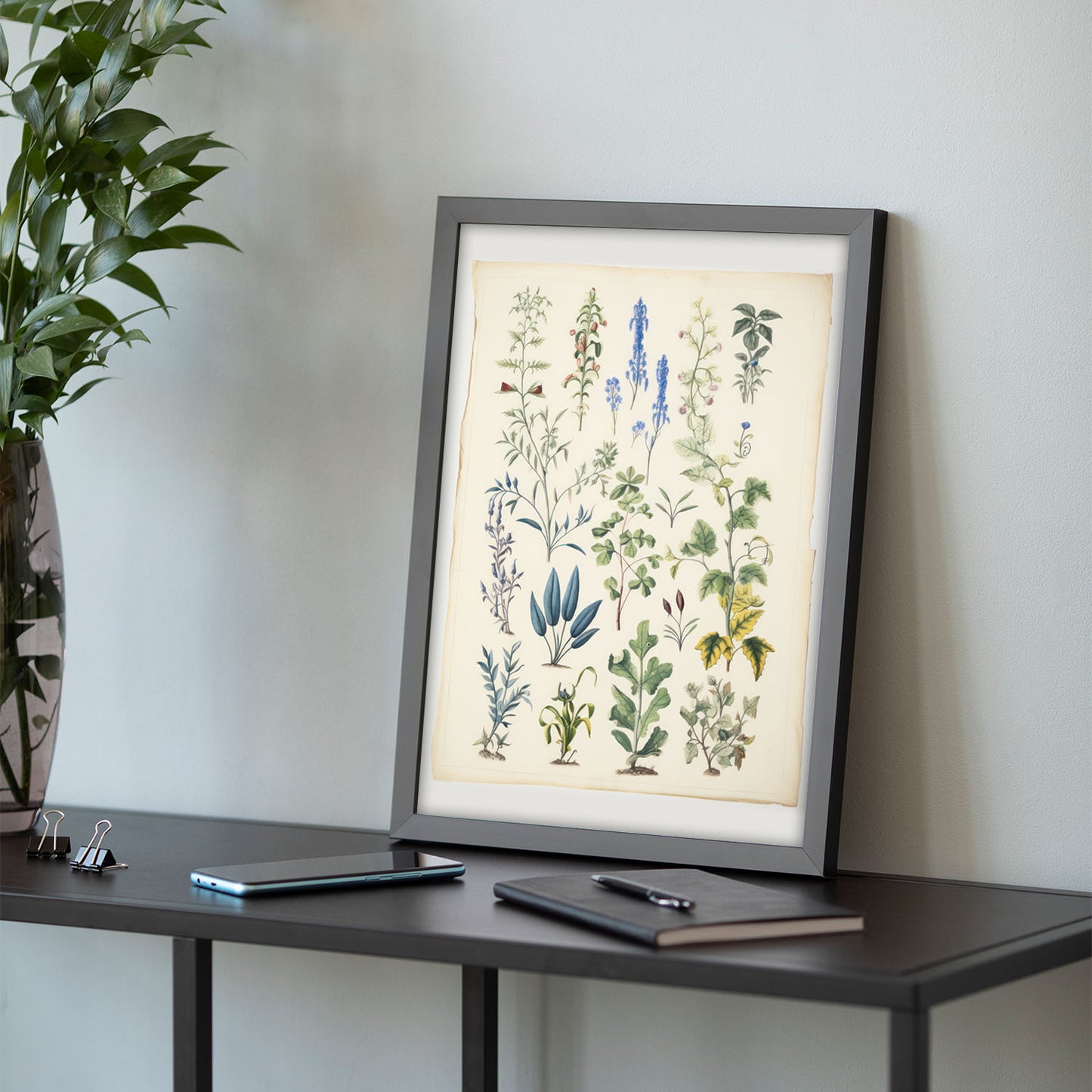 Nacnic Lámina de Mapas 1