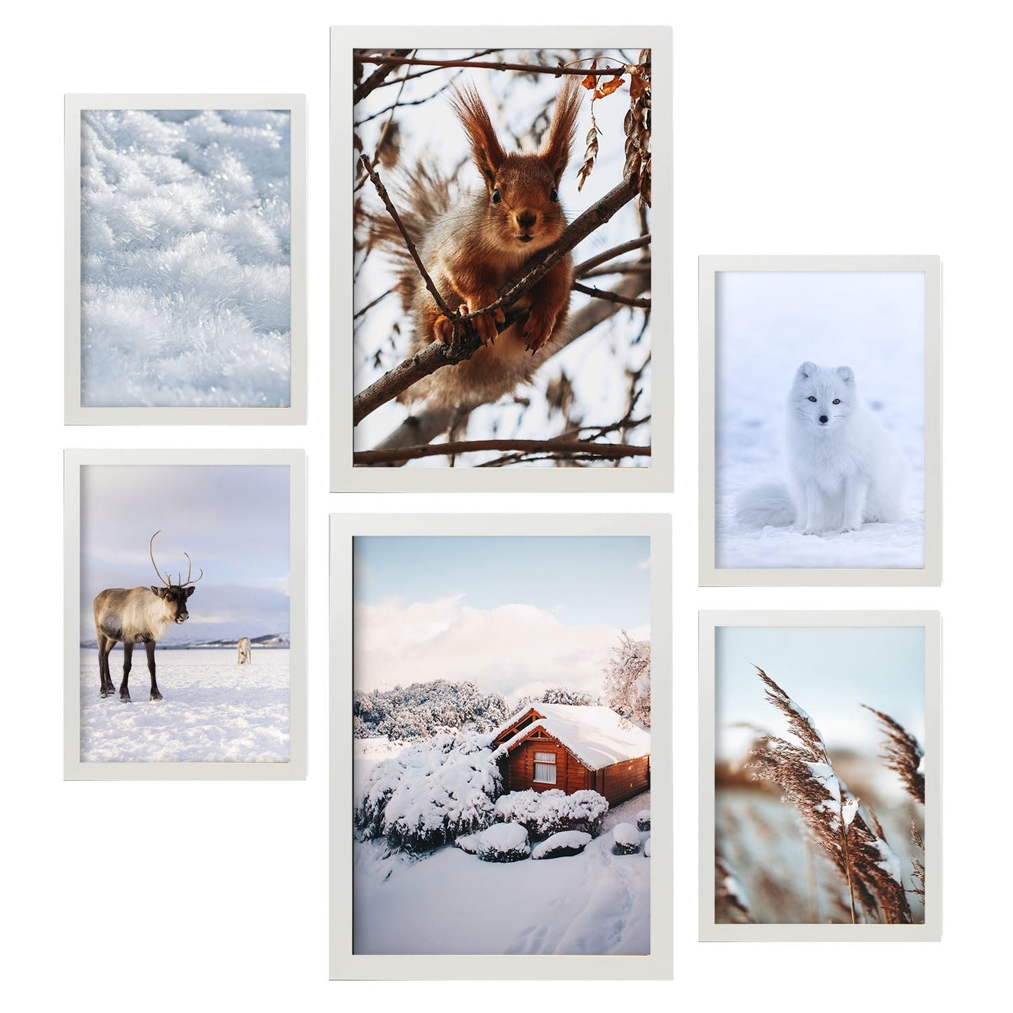 - 6 Pósters Fotografía Animales y Nieve - Láminas Decorativas Modernas para Pared del Hogar, Habitación, Collage, Mural - A3 y A4 -Artwork-Nacnic-Marco Blanco-Nacnic Estudio SL