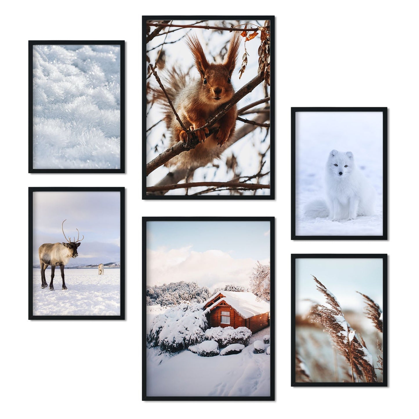 - 6 Pósters Fotografía Animales y Nieve - Láminas Decorativas Modernas para Pared del Hogar, Habitación, Collage, Mural - A3 y A4 -Artwork-Nacnic-Marco Negro-Nacnic Estudio SL