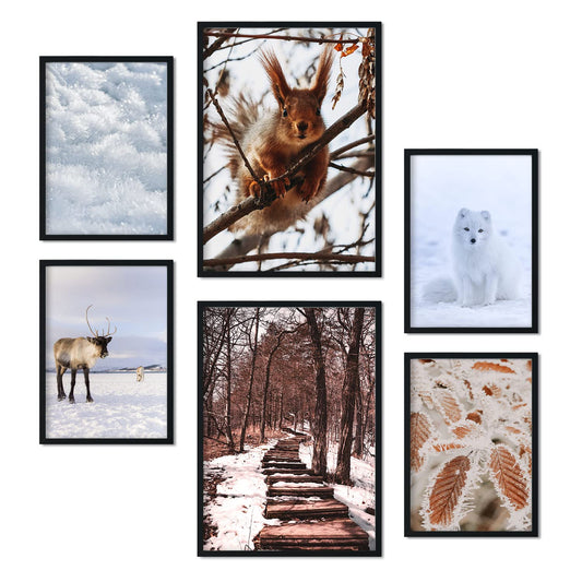 - 6 Pósters Fotografía Animales y Nieve - Láminas Decorativas Modernas para Pared del Hogar, Habitación, Collage, Mural - A3 y A4 -Artwork-Nacnic-Nacnic Estudio SL