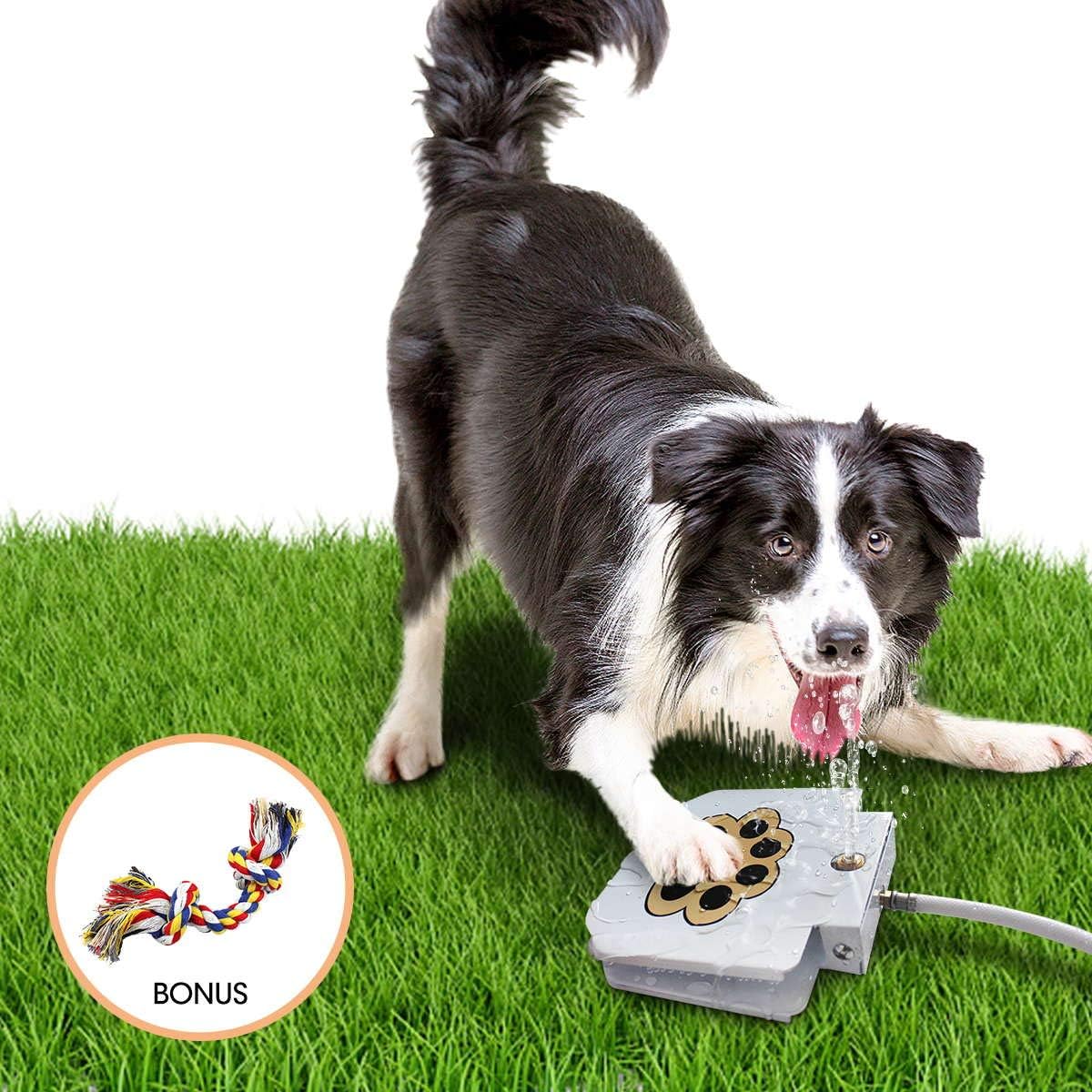 BACOENG Bebedero para Perros Grandes, Fuente Agua Perro de Fácil Activación con Juguete de Cuerda, Juego de Válvulas Mejorado en Cobre