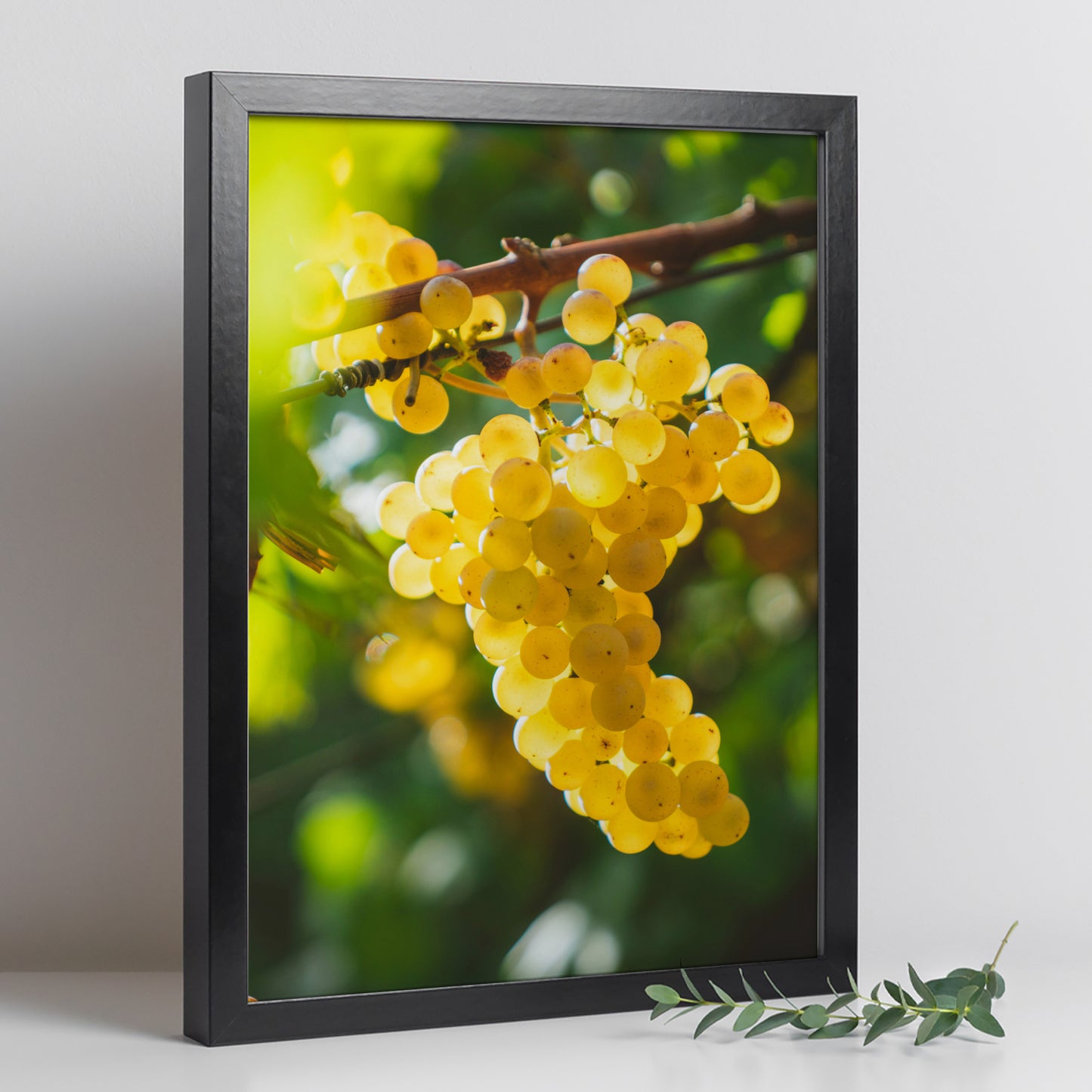Set de 3 Cuadros de Uvas de Viñedo y Corcho Ilustración impresa en estilo Fotográfico para decorar Cocina, Despensa, Cortijo, Comedor, Restaurante