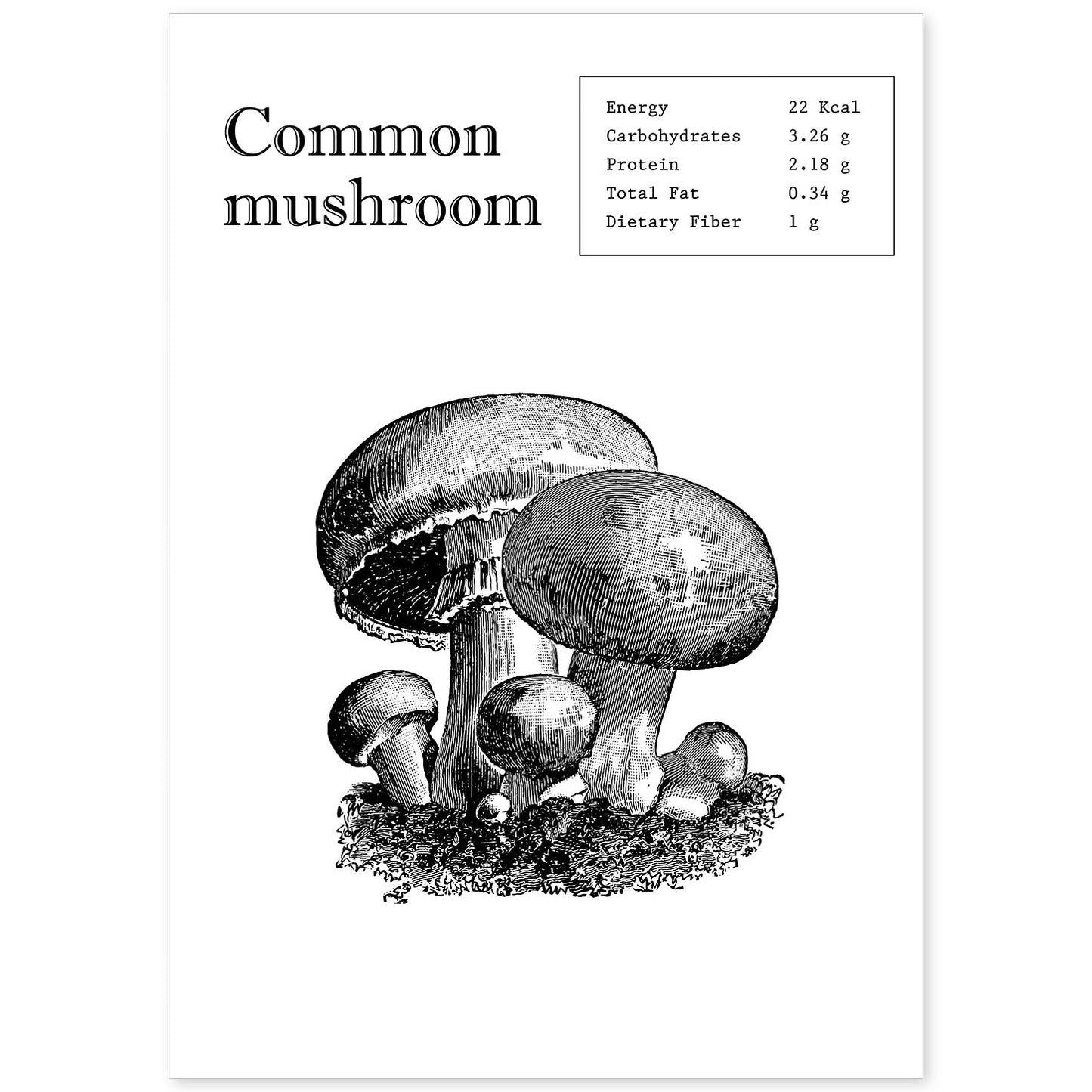Poster de Championes. Láminas de frutas y verduras en inglés.-Artwork-Nacnic-A4-Sin marco-Nacnic Estudio SL
