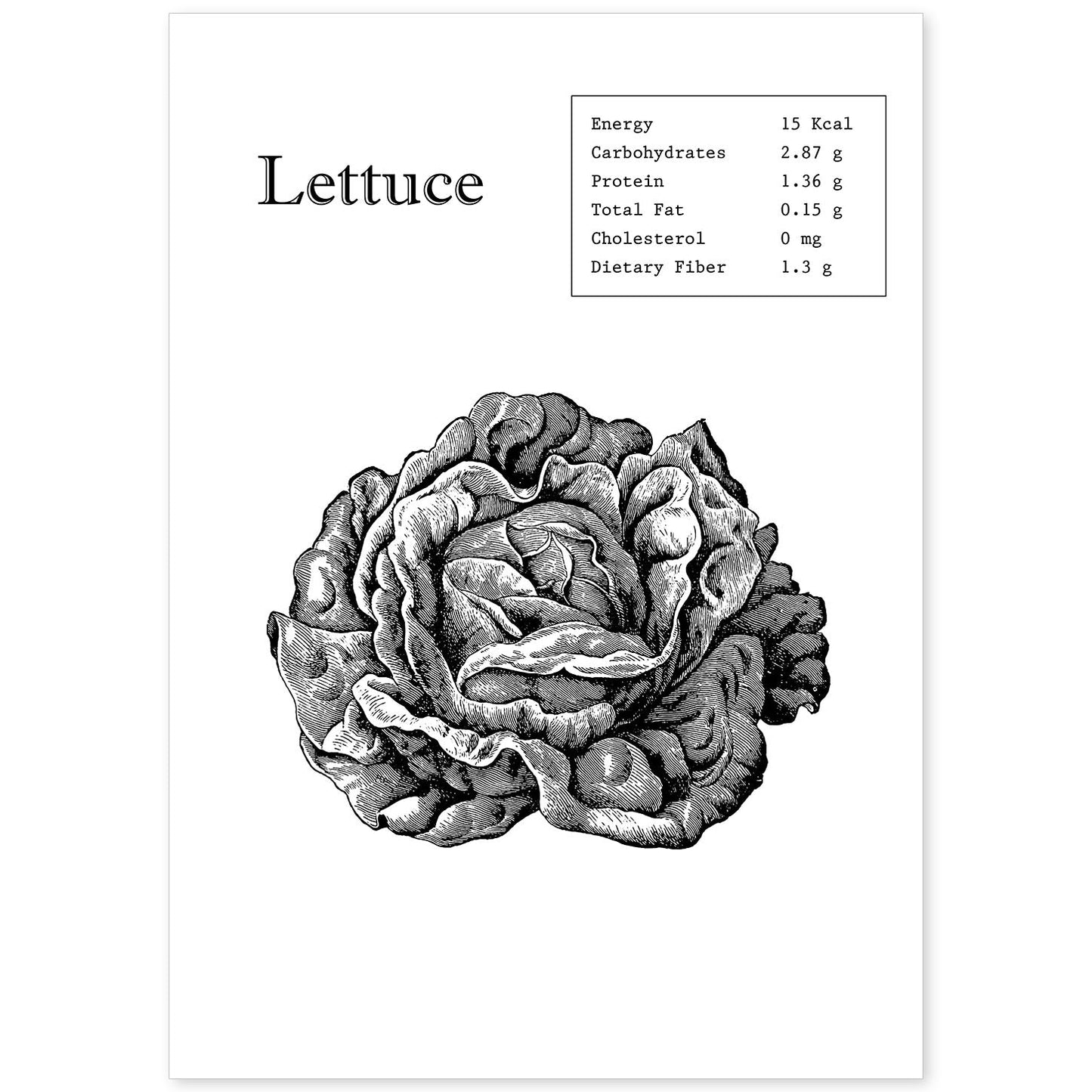 Poster de Lettuce. Láminas de frutas y verduras en inglés.-Artwork-Nacnic-A4-Sin marco-Nacnic Estudio SL