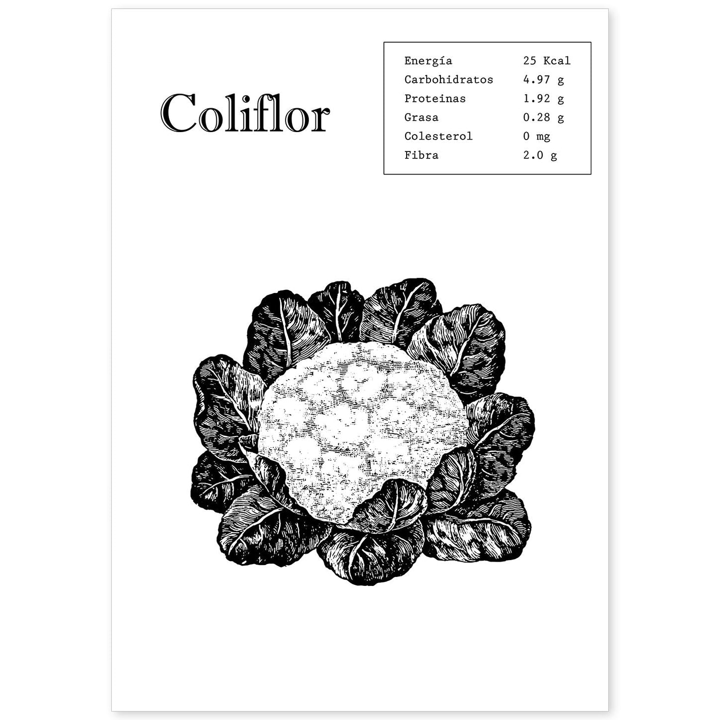 Poster de Coliflor. Láminas de frutas y verduras.-Artwork-Nacnic-A4-Sin marco-Nacnic Estudio SL