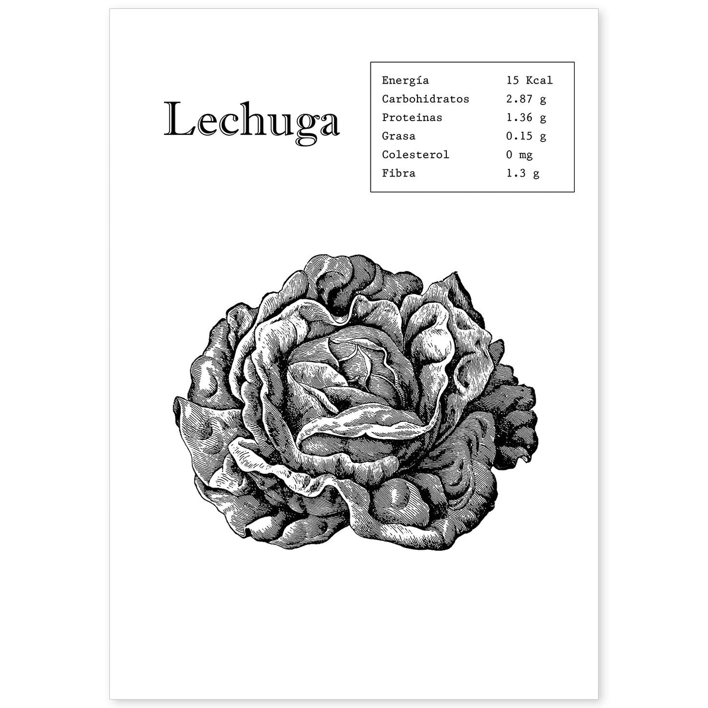 Poster de Lechuga. Láminas de frutas y verduras.-Artwork-Nacnic-A4-Sin marco-Nacnic Estudio SL