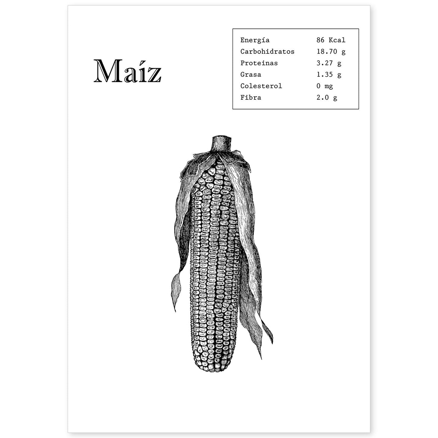 Poster de Maíz. Láminas de frutas y verduras.-Artwork-Nacnic-A4-Sin marco-Nacnic Estudio SL