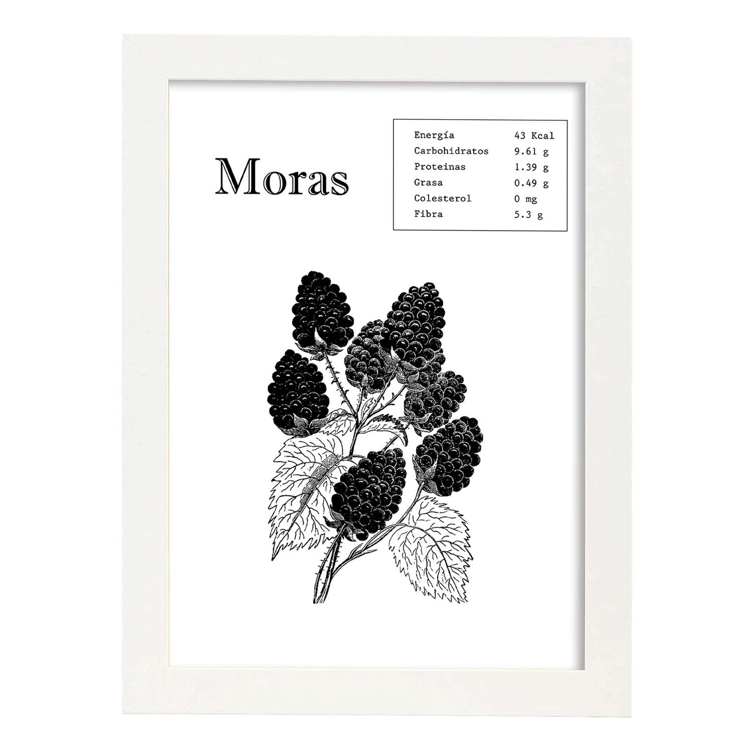Poster de Moras. Láminas de frutas y verduras.-Artwork-Nacnic-A3-Marco Blanco-Nacnic Estudio SL