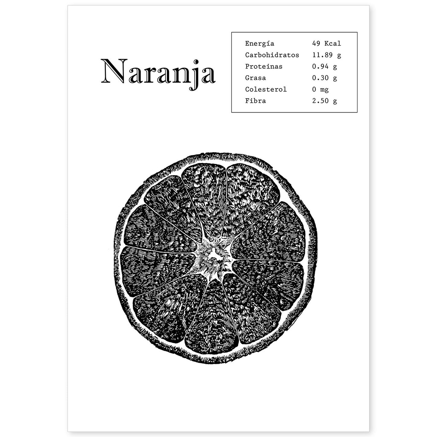 Poster de Naranja. Láminas de frutas y verduras.-Artwork-Nacnic-A4-Sin marco-Nacnic Estudio SL