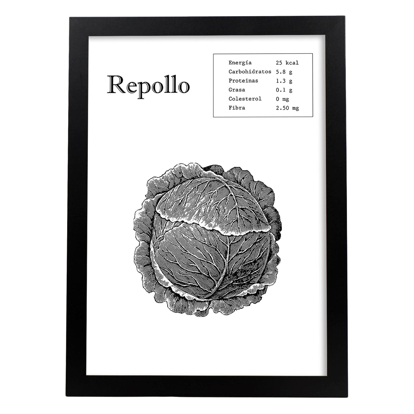 Poster de Repollo. Láminas de frutas y verduras.-Artwork-Nacnic-A4-Marco Negro-Nacnic Estudio SL