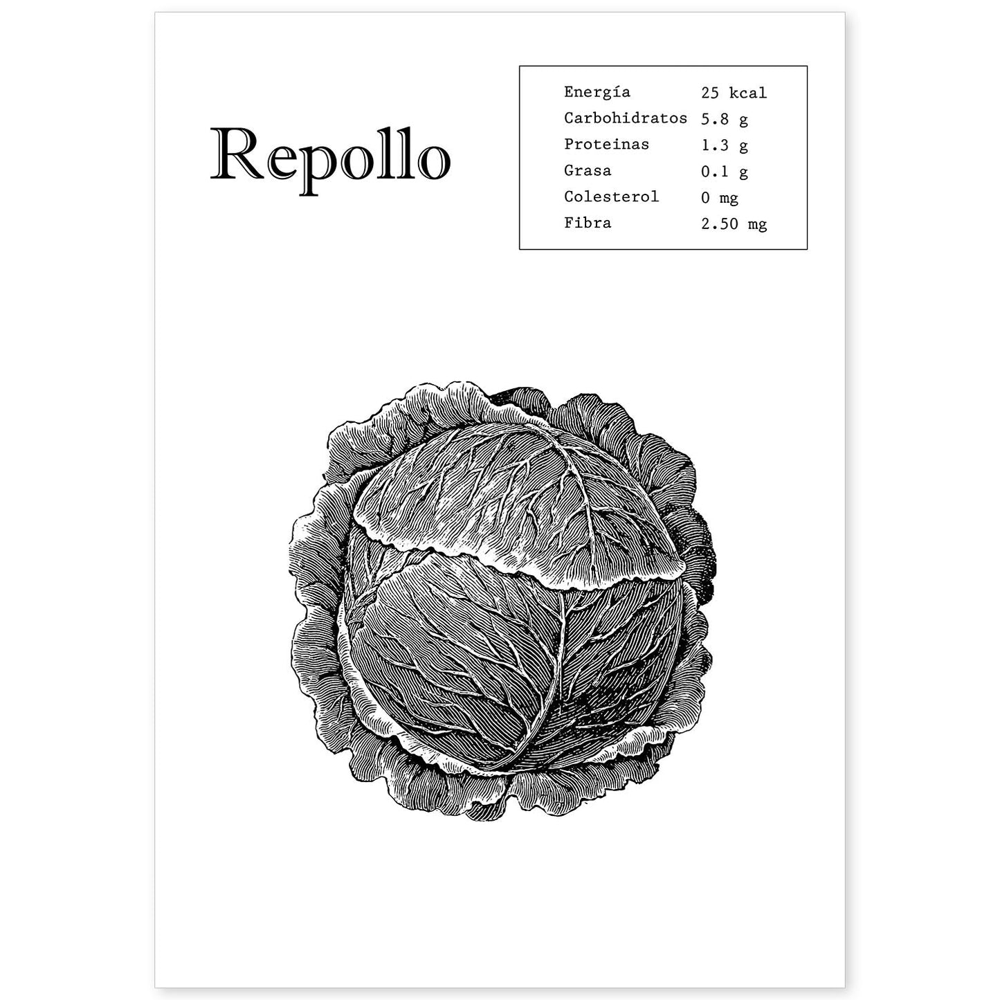 Poster de Repollo. Láminas de frutas y verduras.-Artwork-Nacnic-A4-Sin marco-Nacnic Estudio SL
