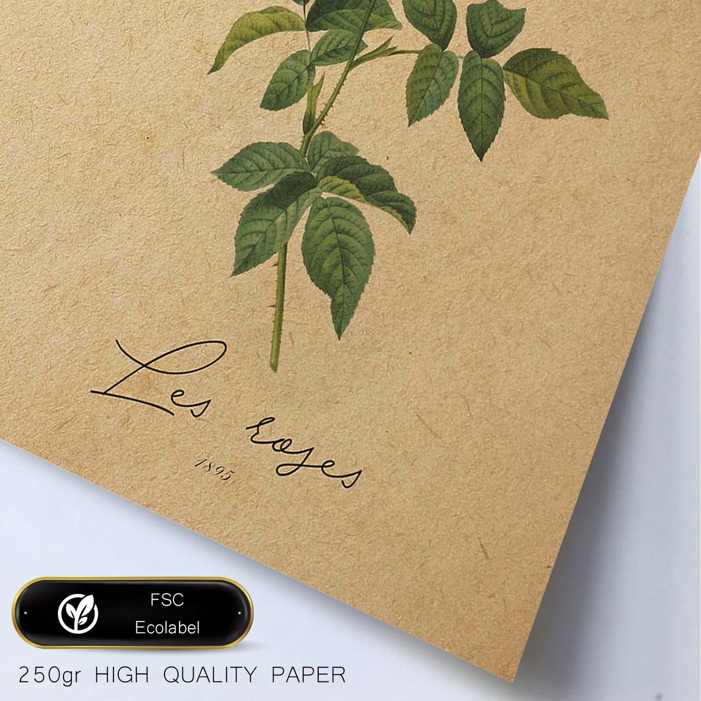 Poster de flores vintage. Lámina Les Roses 2 con diseño vintage.-Artwork-Nacnic-Nacnic Estudio SL