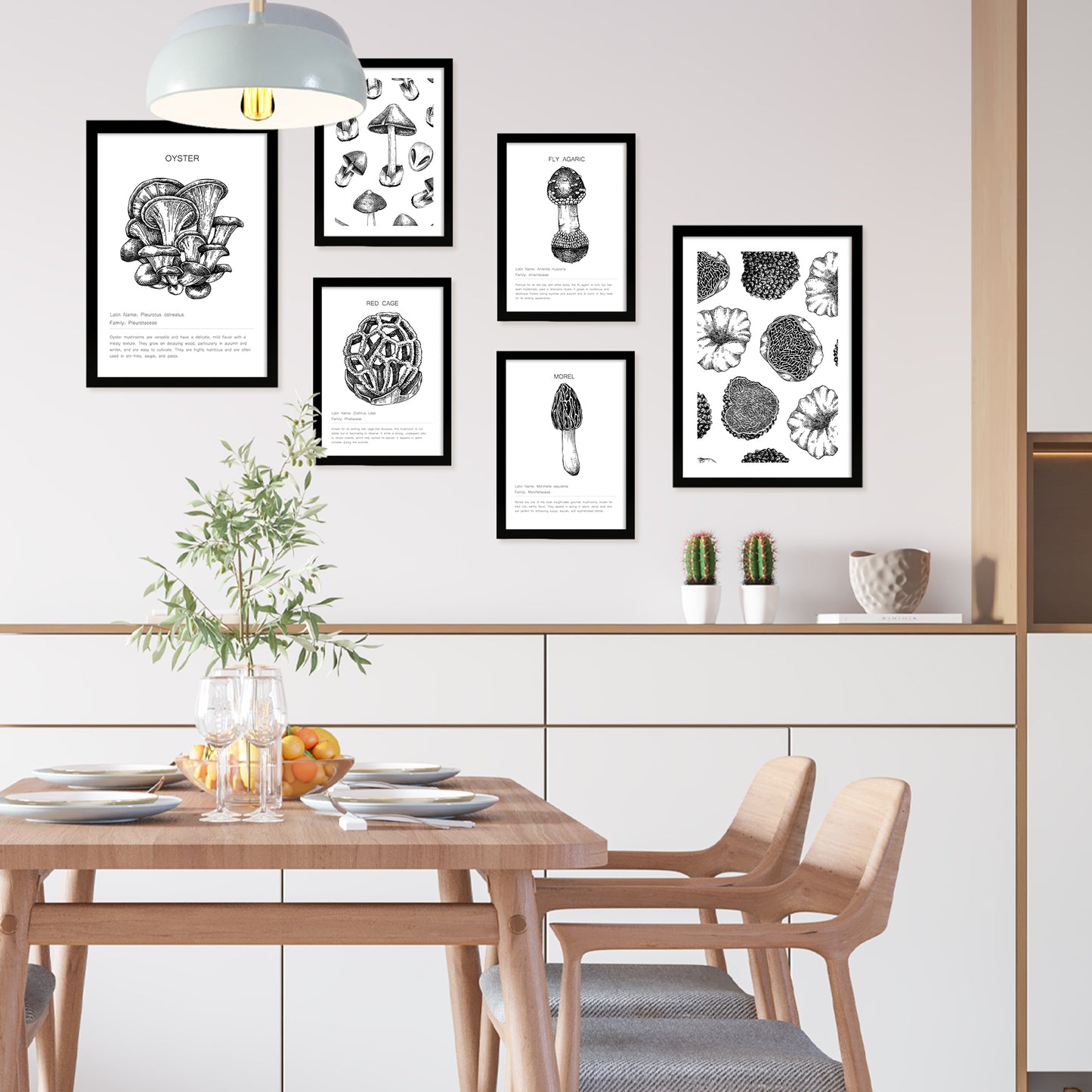 Composicion setas, ilustraciones