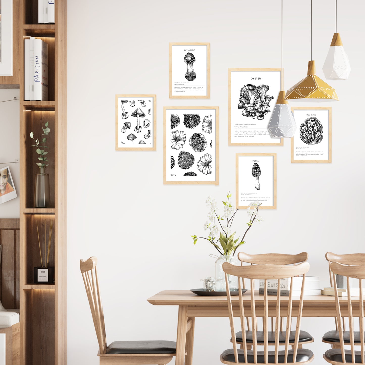 Composicion setas, ilustraciones