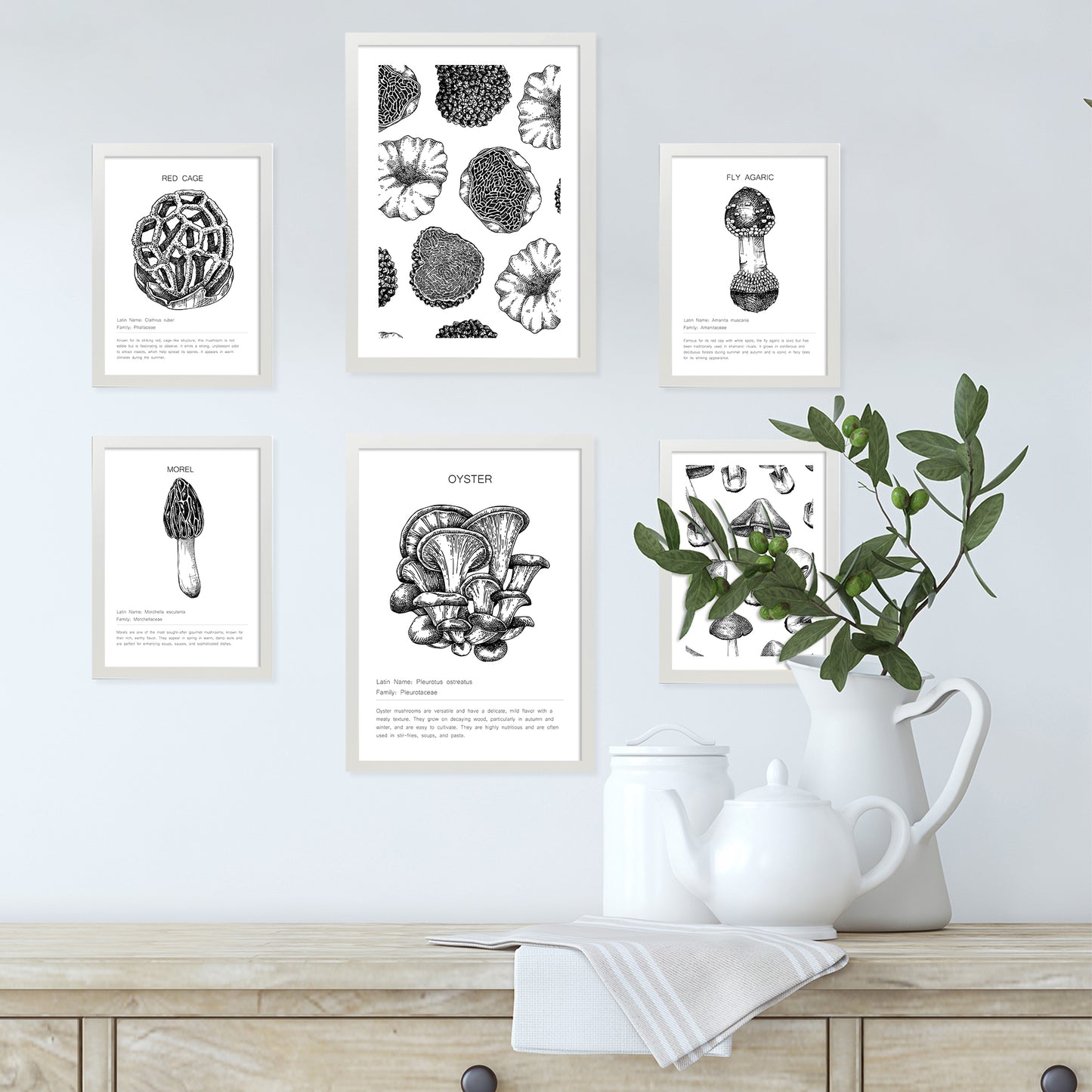 Composicion setas, ilustraciones
