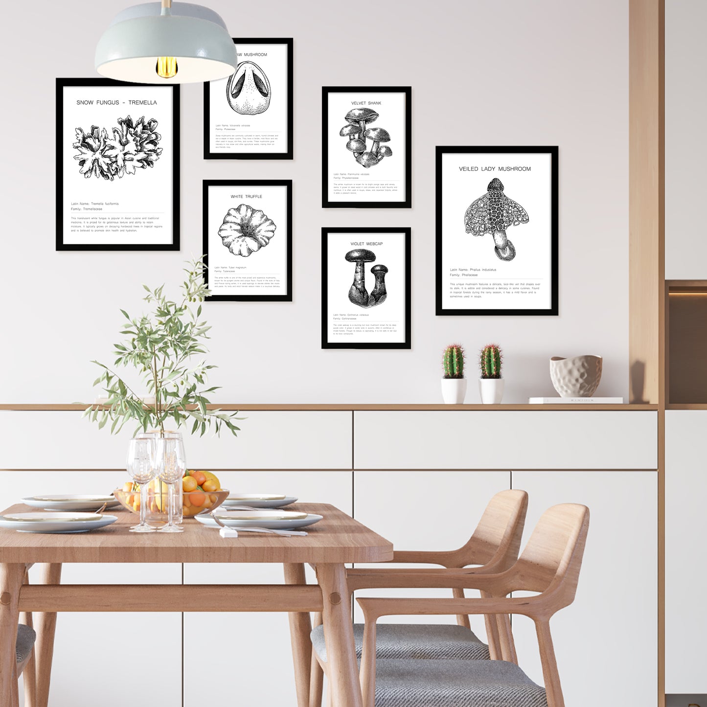 Composicion setas , tipos y detalles