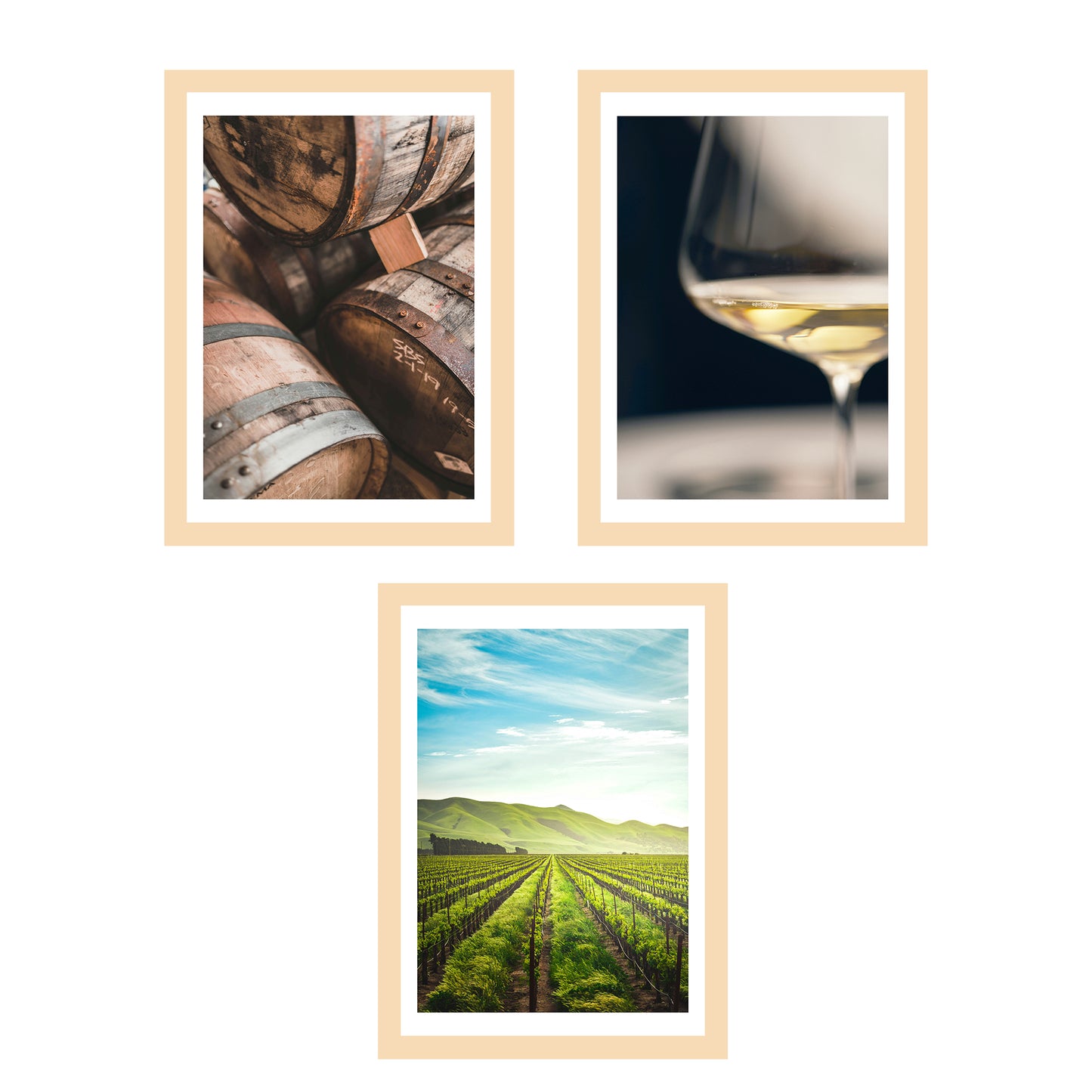 Set de 3 Cuadros de Viñedo Italiano Impresión Ilustración Arte de Pared Decoración en Estilo Fotográfico Moderno para Cocina, Bodega, Bar, Despensa, Comedor, Restaurante