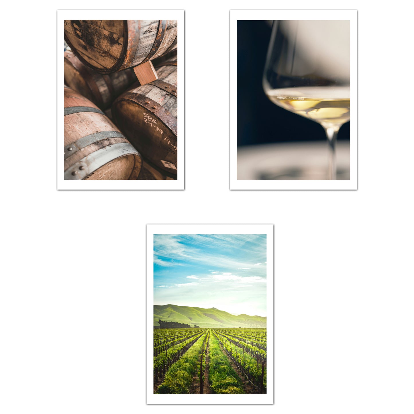 Set de 3 Cuadros de Viñedo Italiano Impresión Ilustración Arte de Pared Decoración en Estilo Fotográfico Moderno para Cocina, Bodega, Bar, Despensa, Comedor, Restaurante