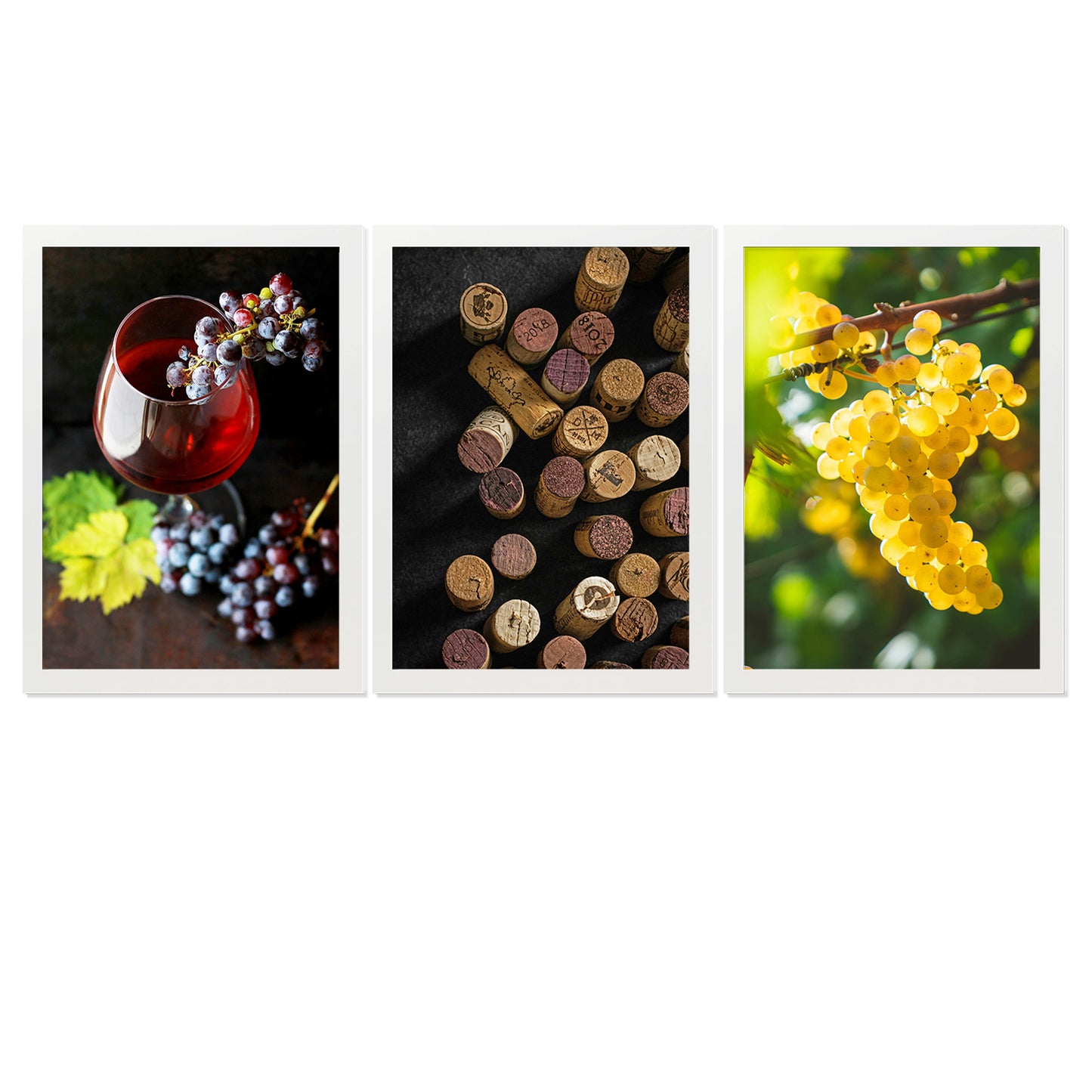 Set de 3 Cuadros de Uvas de Viñedo y Corcho Ilustración impresa en estilo Fotográfico para decorar Cocina, Despensa, Cortijo, Comedor, Restaurante