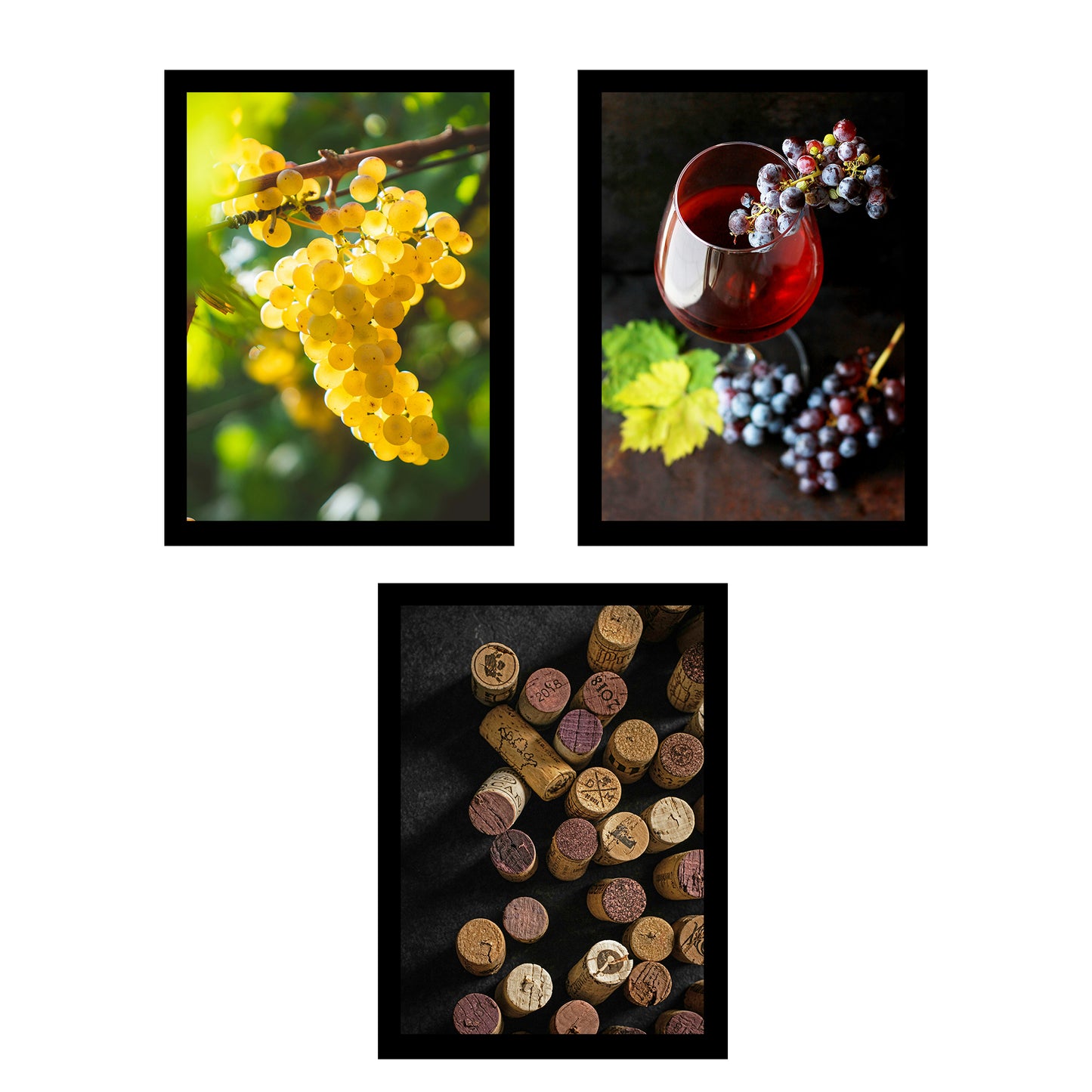 Set de 3 Cuadros de Uvas de Viñedo y Corcho Ilustración impresa en estilo Fotográfico para decorar Cocina, Despensa, Cortijo, Comedor, Restaurante
