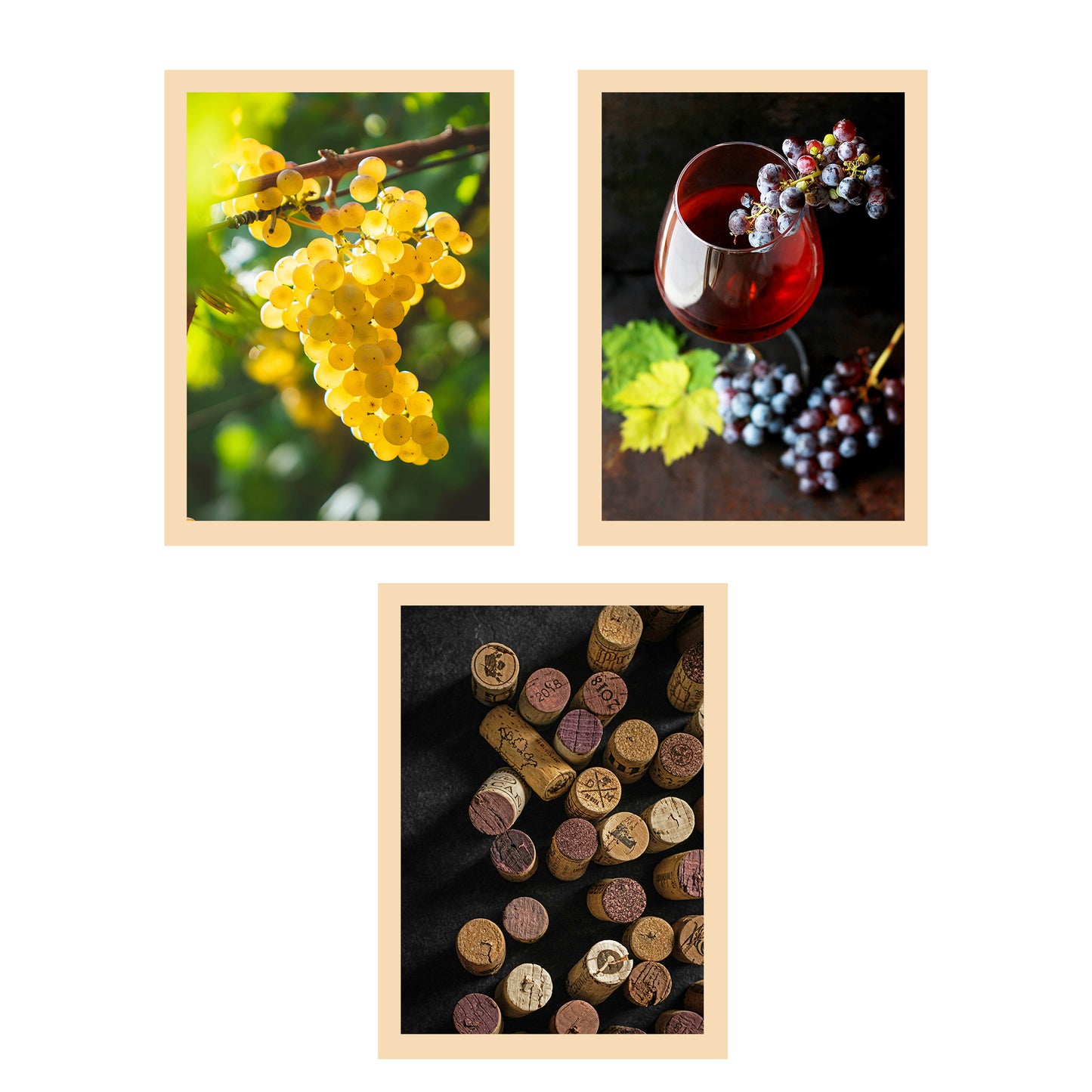 Set de 3 Cuadros de Uvas de Viñedo y Corcho Ilustración impresa en estilo Fotográfico para decorar Cocina, Despensa, Cortijo, Comedor, Restaurante