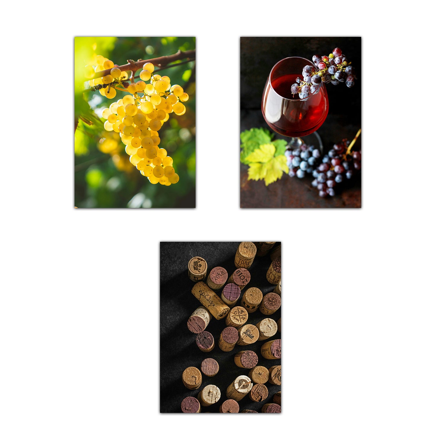Set de 3 Cuadros de Uvas de Viñedo y Corcho Ilustración impresa en estilo Fotográfico para decorar Cocina, Despensa, Cortijo, Comedor, Restaurante