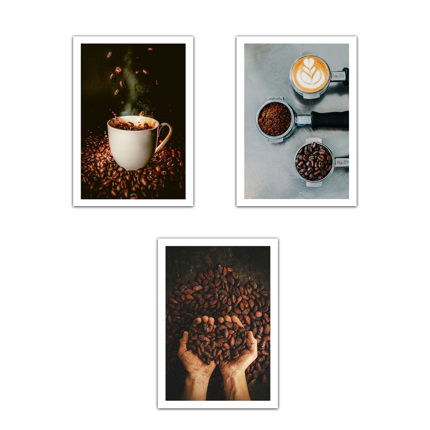 Set de 3 Cuadros de Café Tostado Ilustración impresa en estilo Fotográfico para decorar las paredes de Cocina, Despensa, Comedor, Restaurante, Cafetería