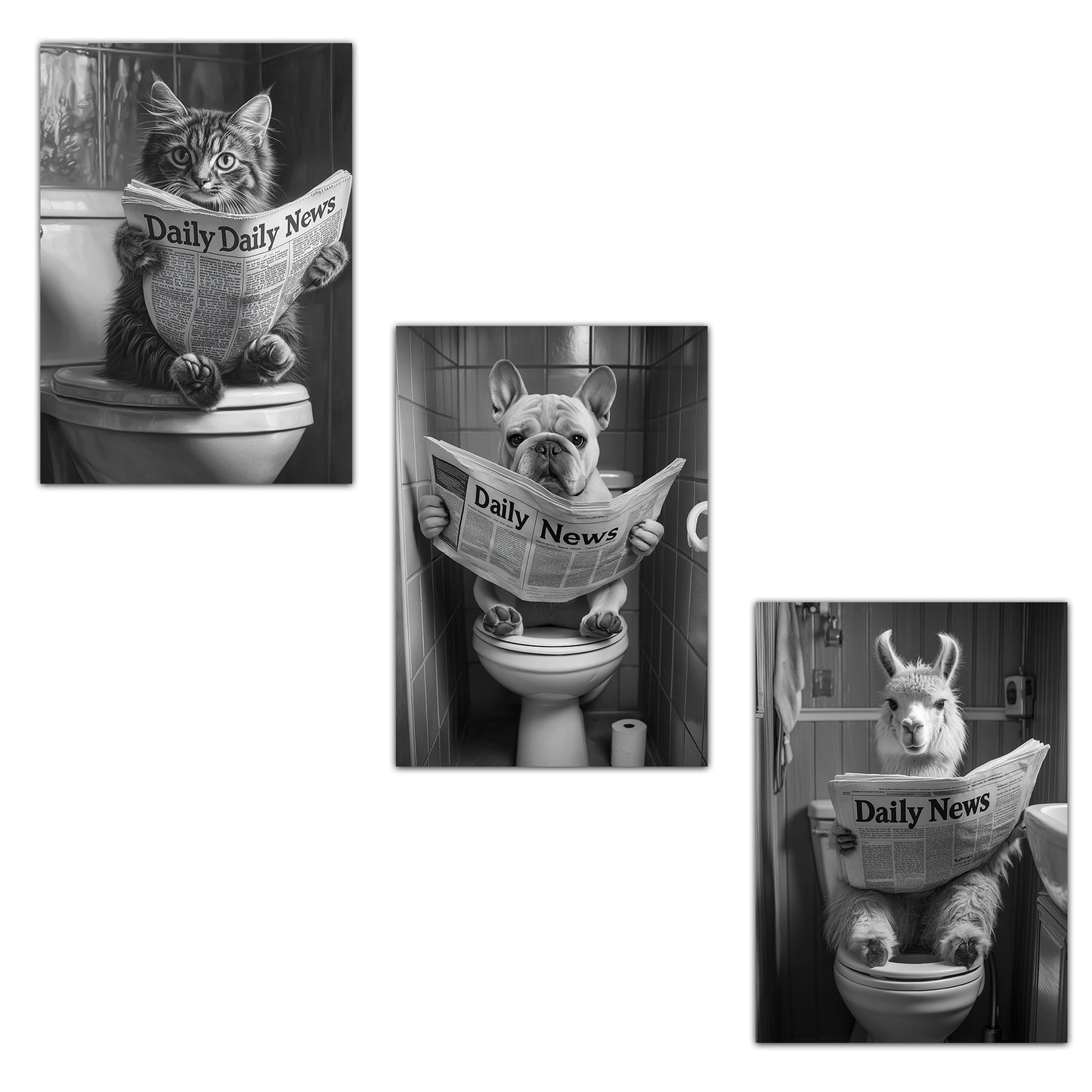 Set de 3 Cuadros Animales Leyendo Periódico En El Inodoro, Gato, Perro, Llama, Póster en Blanco y Negro con Ilustración Impresa en Estilo B/N para Decorar las Paredes del Inodoro, Baño, Lavabo, WC
