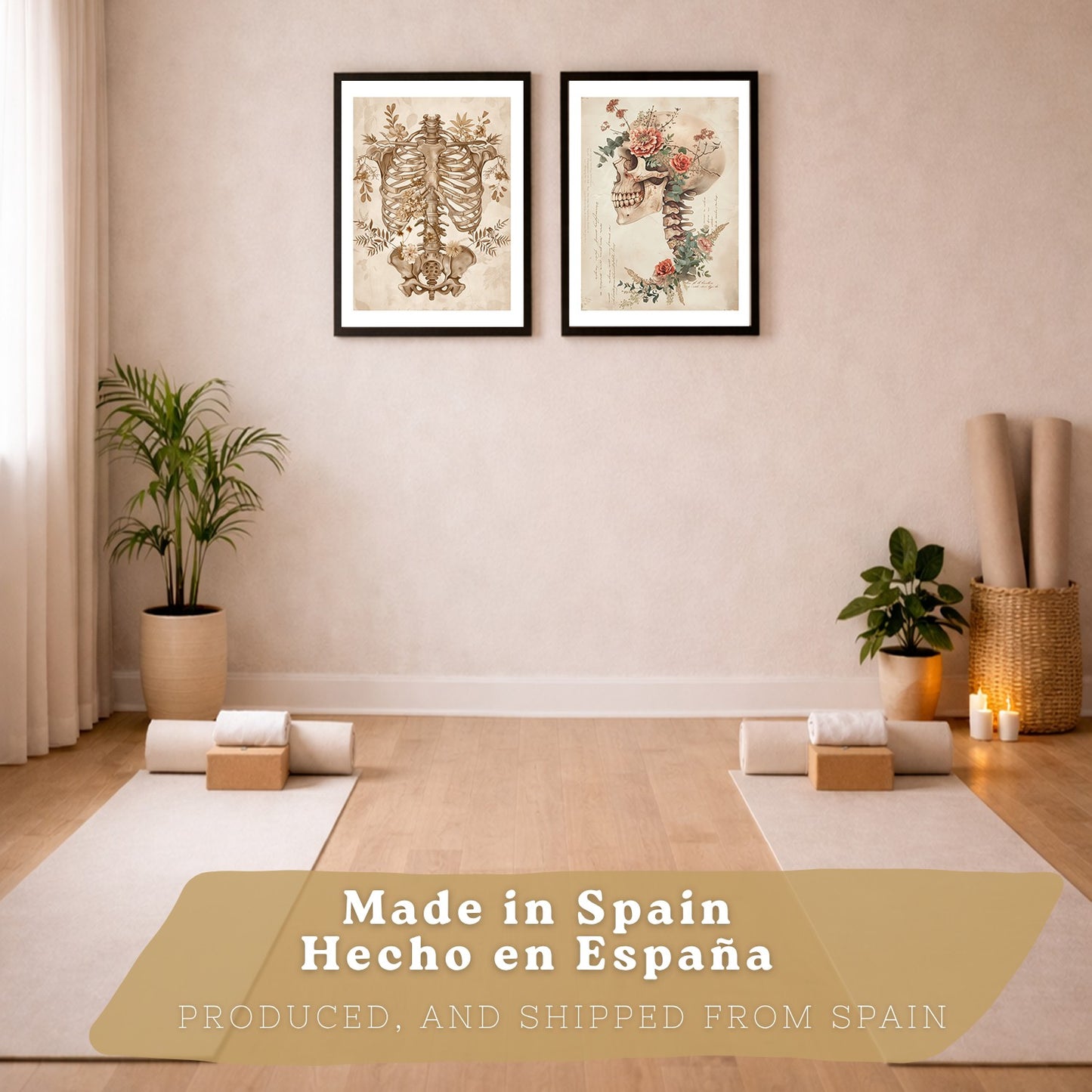 Set 2 Cuadros Decorativos de Anatomía Humana Láminas y Posters con Esqueleto Cráneo Columna Vertebral Costillas Pelvis Estilo Clásico