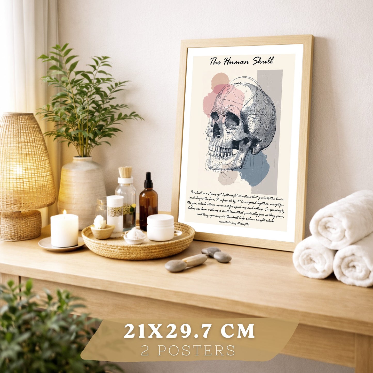 Set 2 Posters de Anatomía Humana Láminas Educativas de Esqueleto Costillas y Cráneo Decoración Clínica Oficina