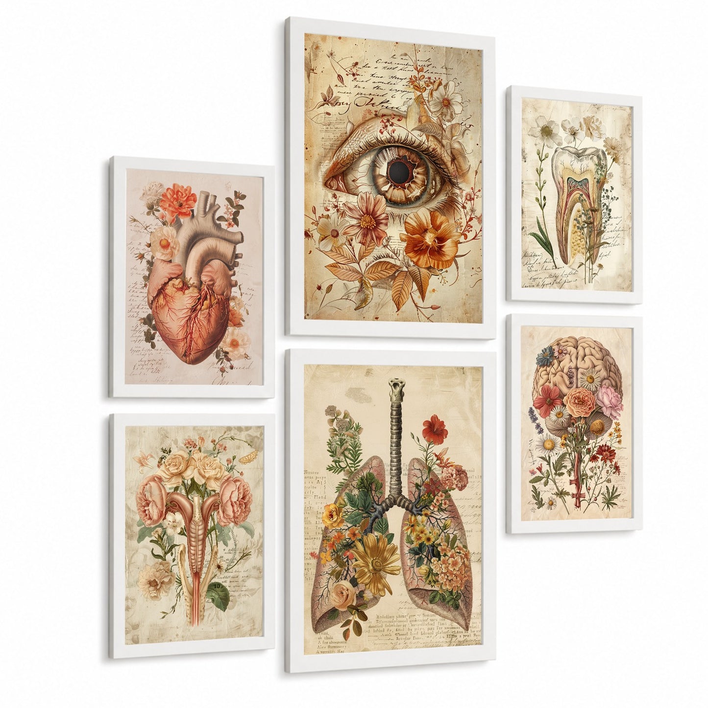 Set de 6 láminas anatómicas clásicas para decorar pared, arte médico botánico con ojo, corazón, diente, útero, pulmones y cerebro, manuscrito antiguo, sin marco