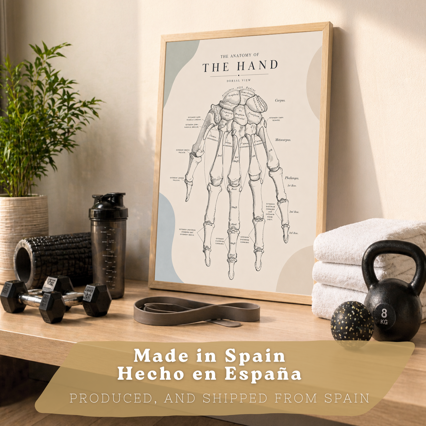 Set de 6 Láminas Anatómicas Posters Médicos con Cerebro, Pulmones, Corazón, Pelvis, Mano Humana, Huesos Faciales y Anatomía del Cuello, Cuadros Decorativos para consultas