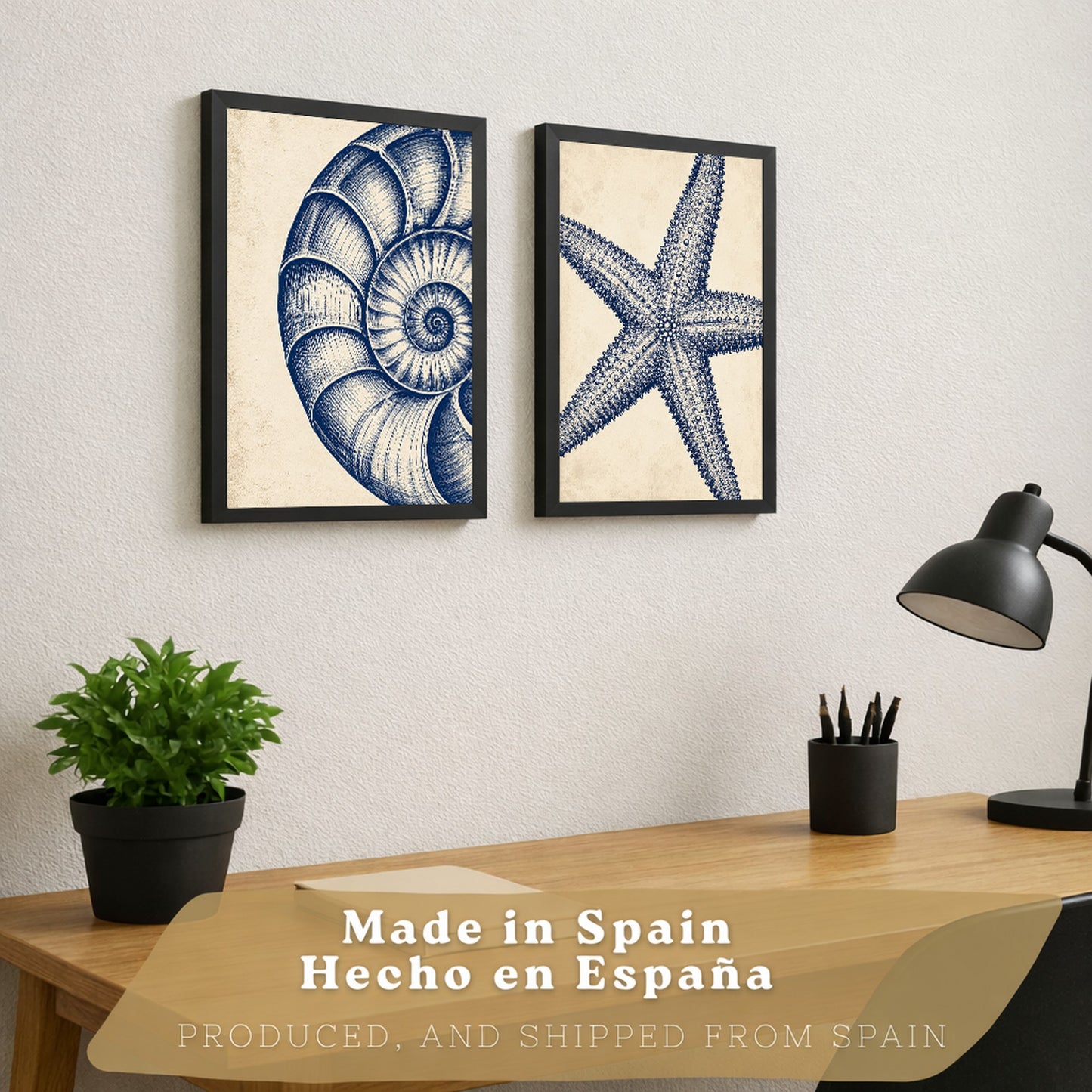 Posters de Azul Costero con Arte de Nautilus y Estrella de Mar