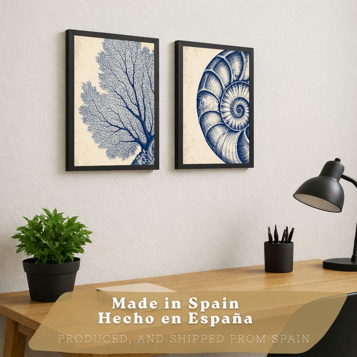 Posters de Arte de Pared Azul Costero con Coral y Concha Nautilus